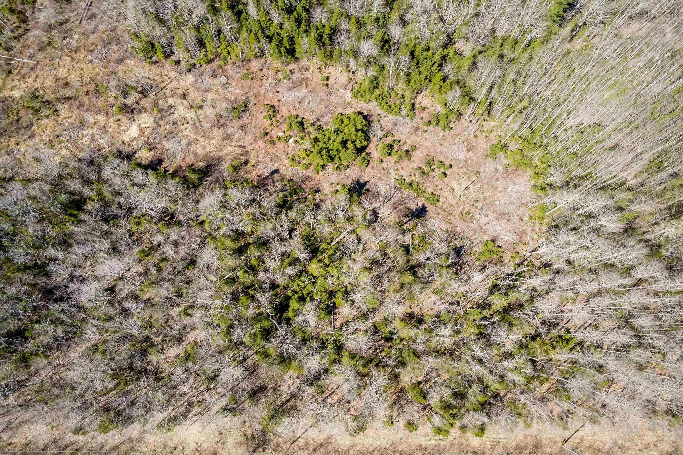 Aylesford Road Lot A, Lake Paul, NS B0P 1C0, ,Land,For Sale,Aylesford,202512766