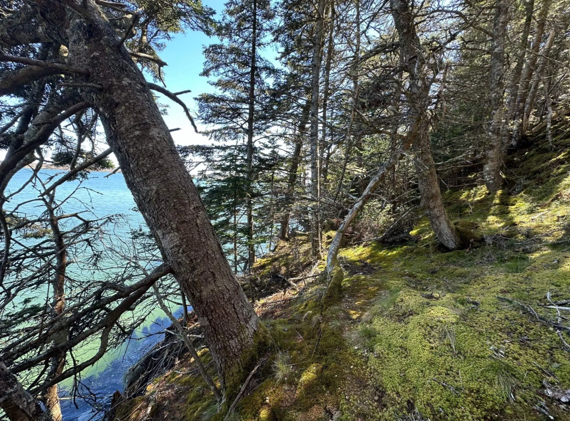 1415 Highway 304, Cape Forchu Ns B5a 5g7, 5 Bedrooms Bedrooms, ,2 BathroomsBathrooms,Residential,For Sale,Highway 304,202510115