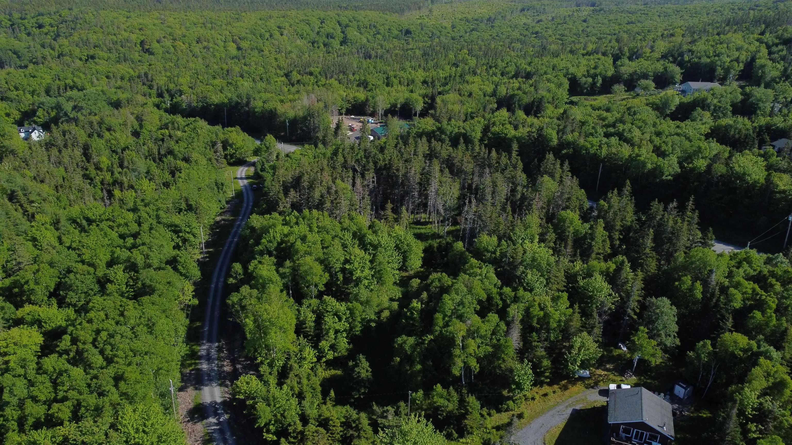 Nature Dream P Boulevard Lot 12, Roberta, NS B0E 3B0, ,Land,For Sale,Nature Dream P,202513259