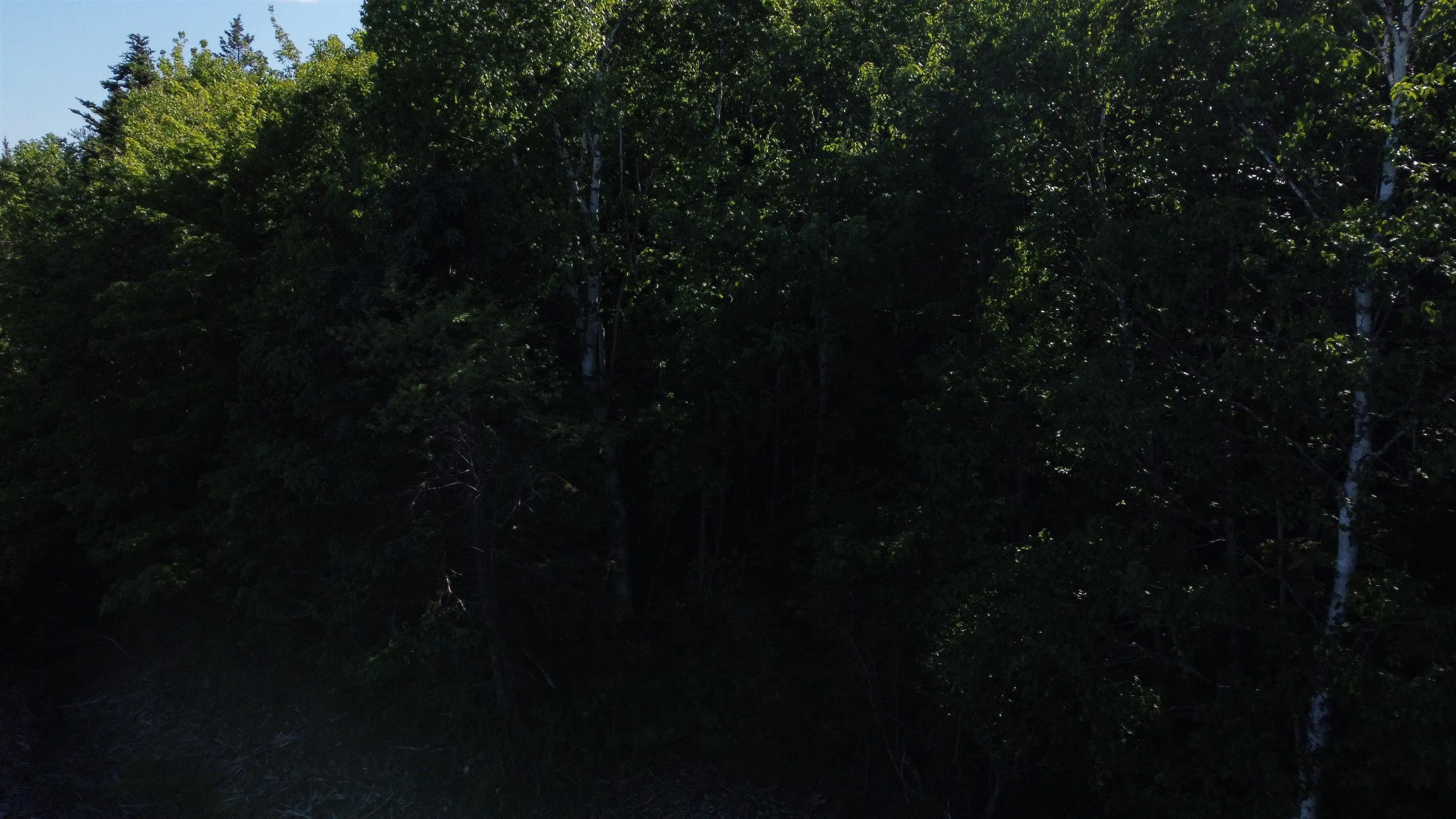 Nature Dream P Boulevard Lot 12, Roberta, NS B0E 3B0, ,Land,For Sale,Nature Dream P,202513259