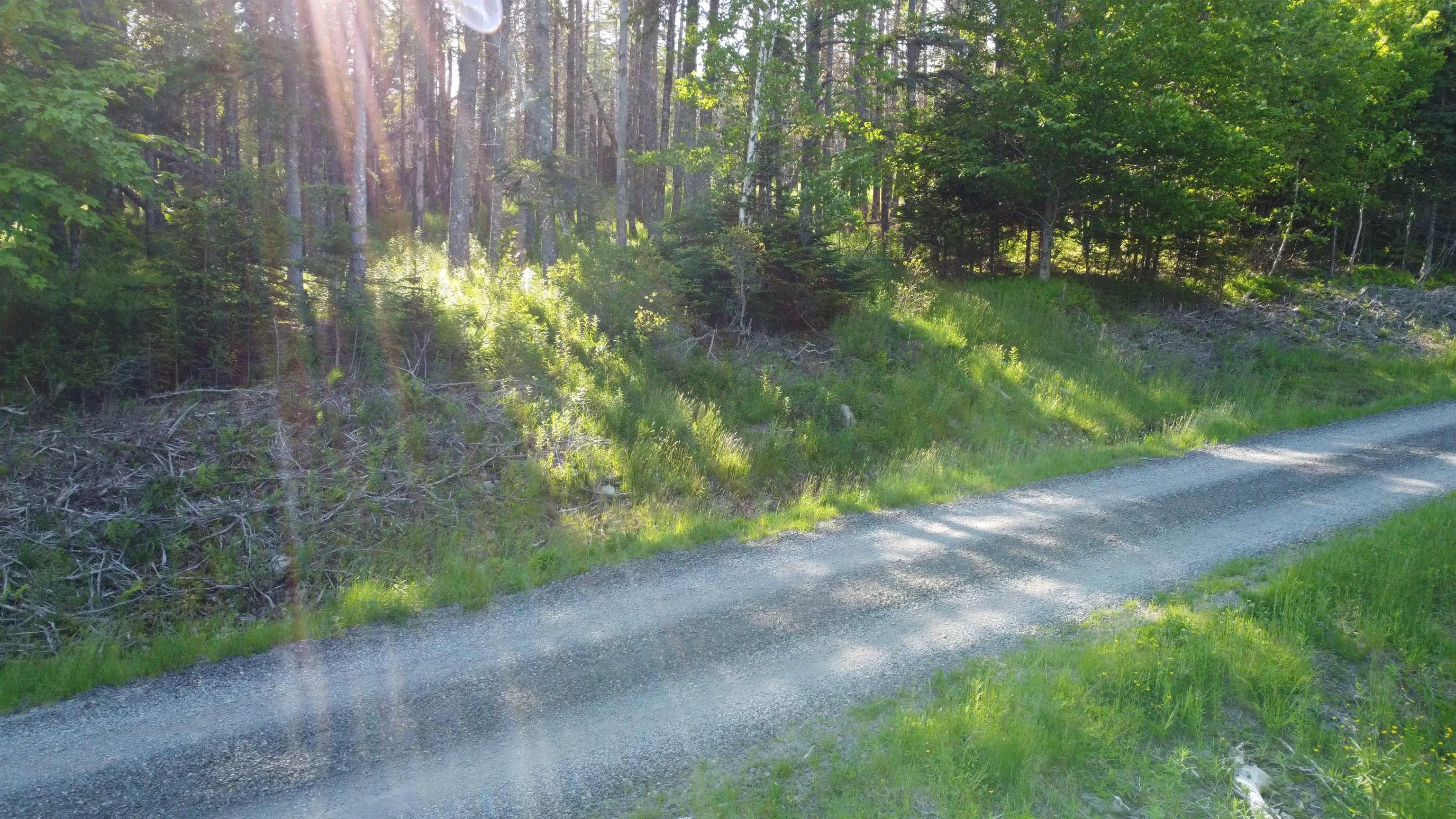 Nature Dream P Boulevard Lot 12, Roberta, NS B0E 3B0, ,Land,For Sale,Nature Dream P,202513259