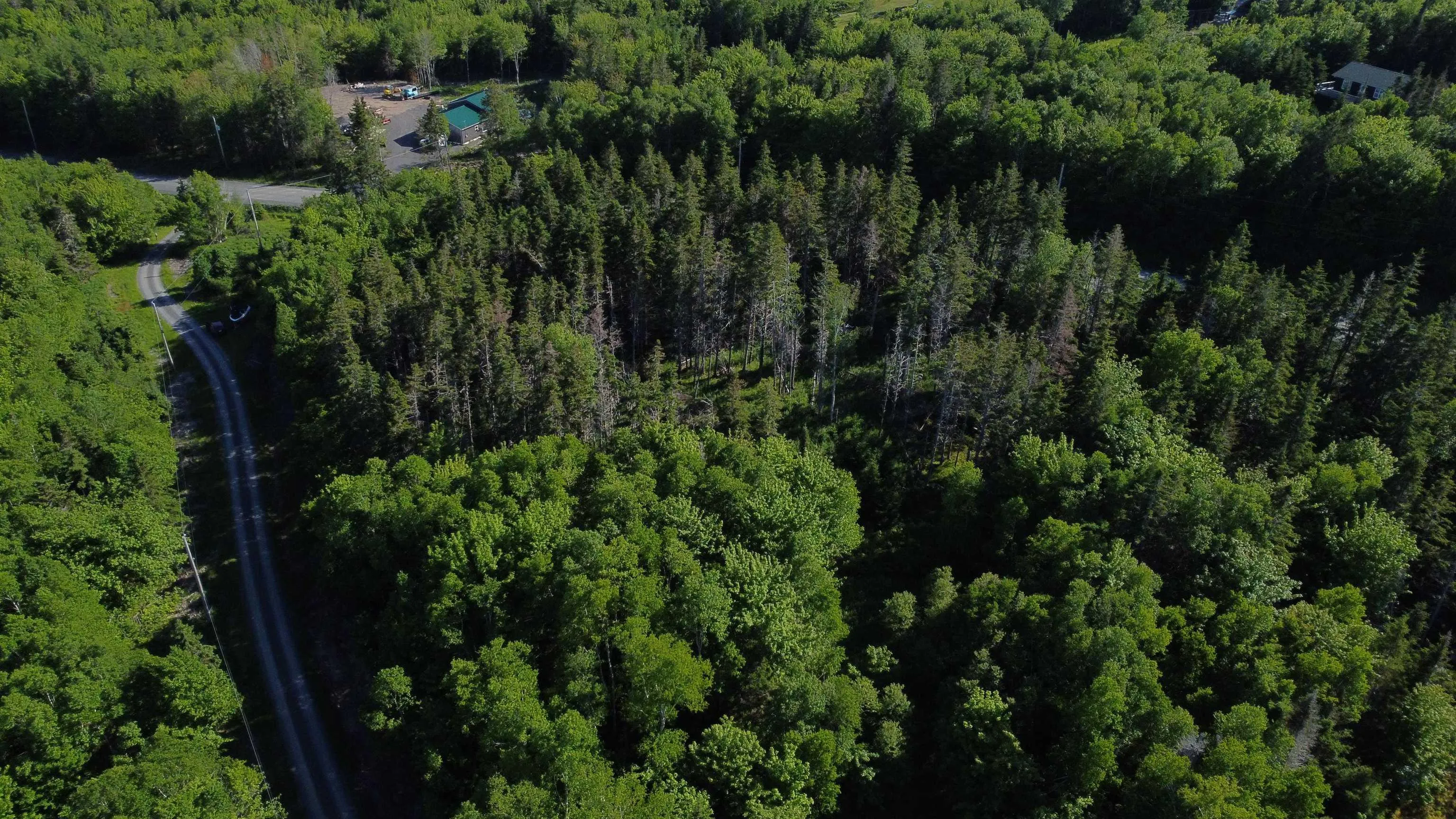 Nature Dream P Boulevard Lot 12, Roberta, NS B0E 3B0, ,Land,For Sale,Nature Dream P,202513259