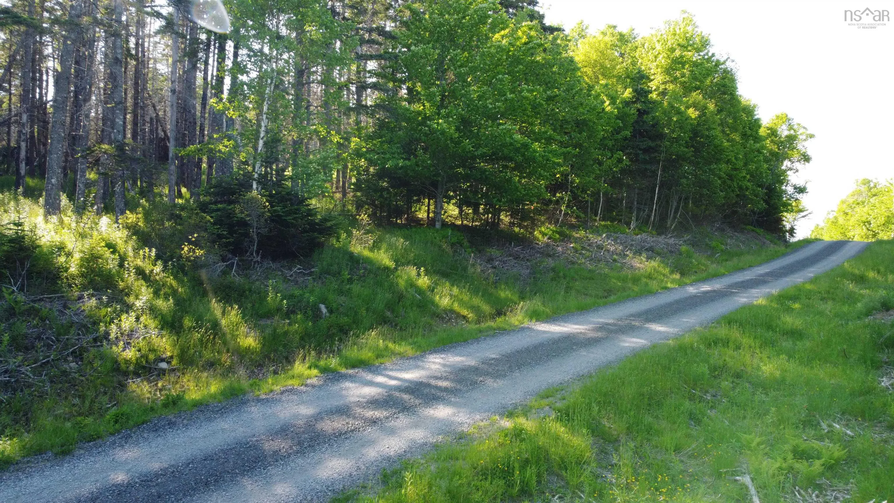 Nature Dream P Boulevard Lot 12, Roberta, NS B0E 3B0, ,Land,For Sale,Nature Dream P,202513259