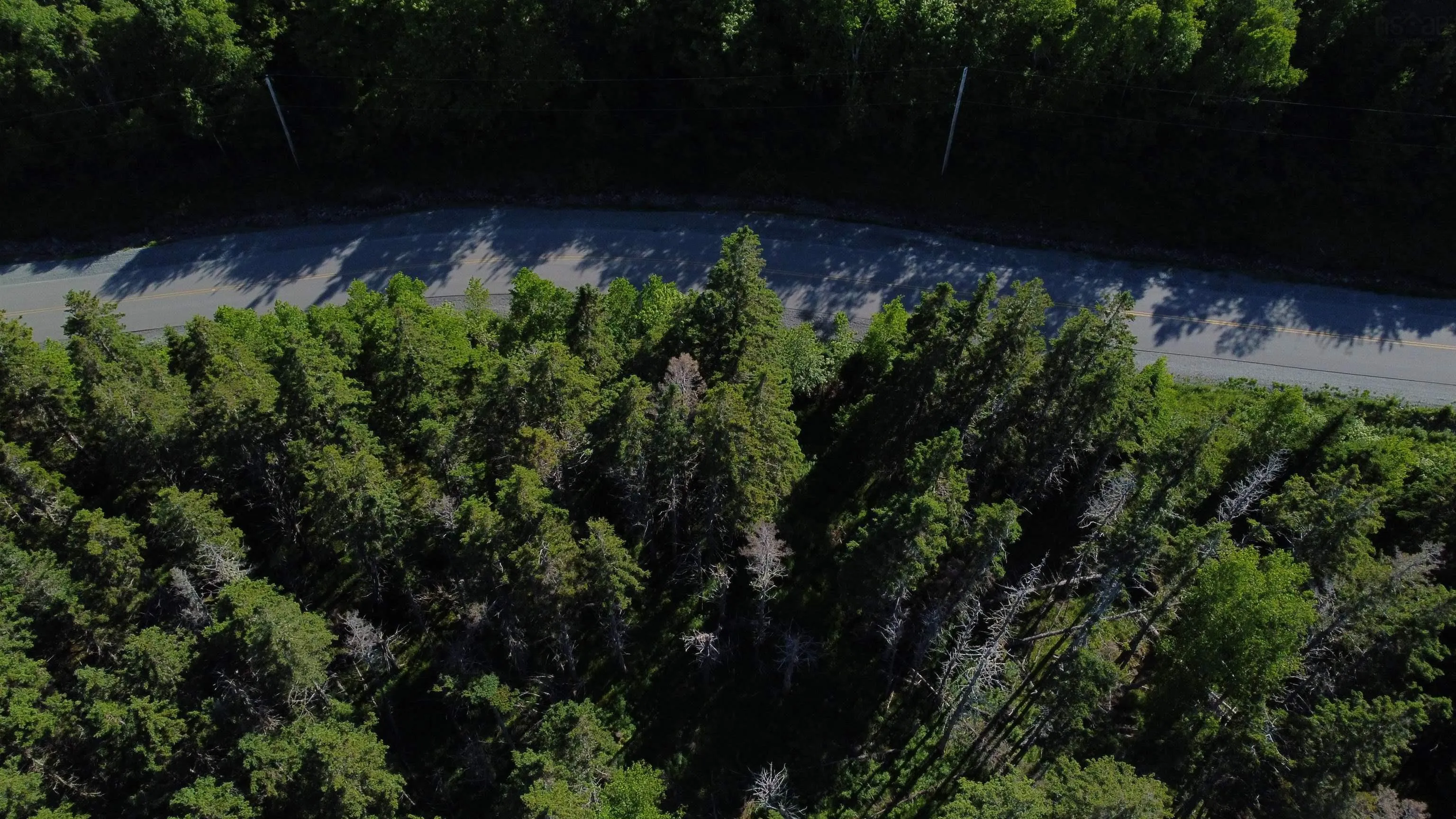 Nature Dream P Boulevard Lot 12, Roberta, NS B0E 3B0, ,Land,For Sale,Nature Dream P,202513259