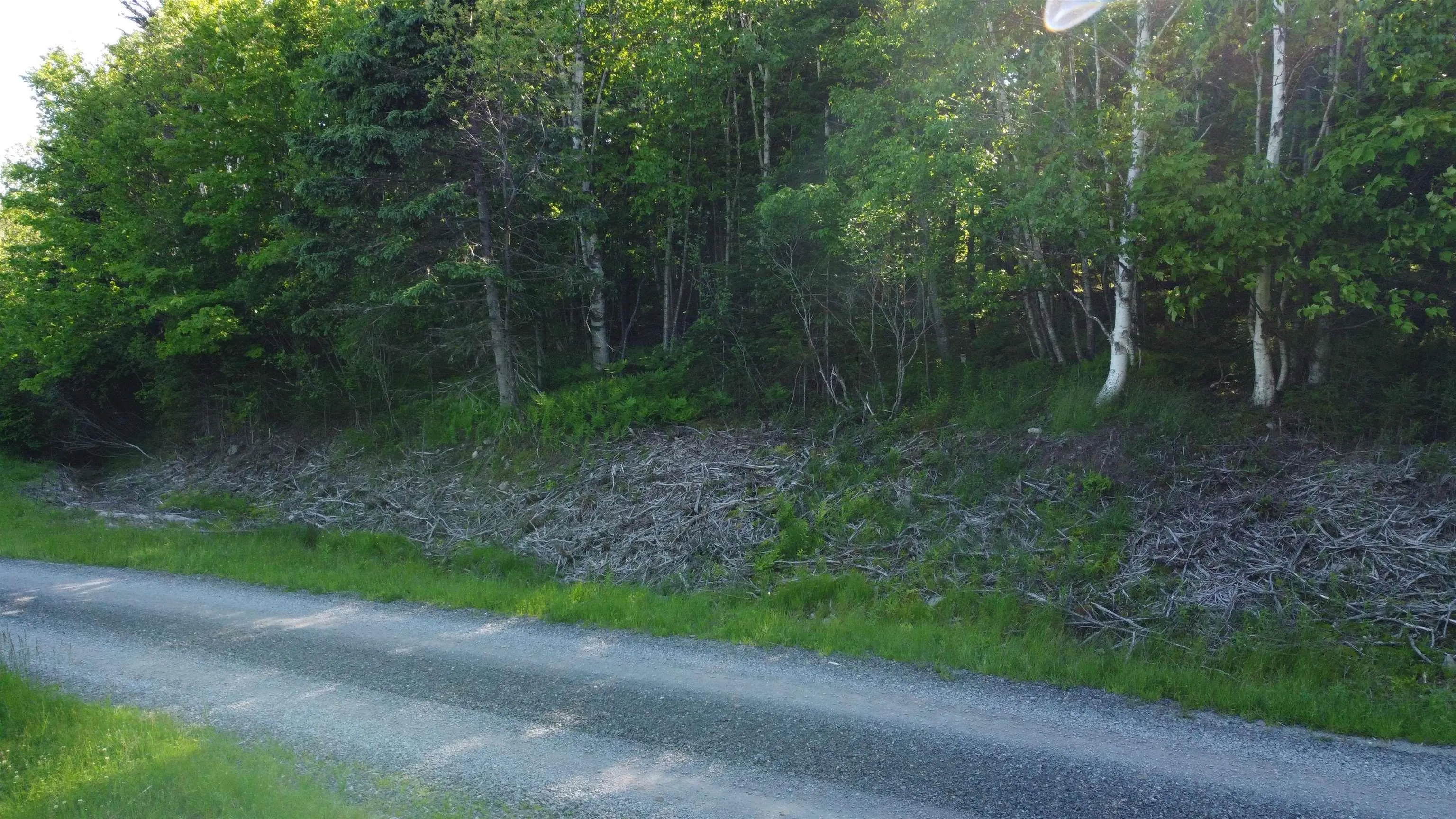 Nature Dream P Boulevard Lot 12, Roberta, NS B0E 3B0, ,Land,For Sale,Nature Dream P,202513259