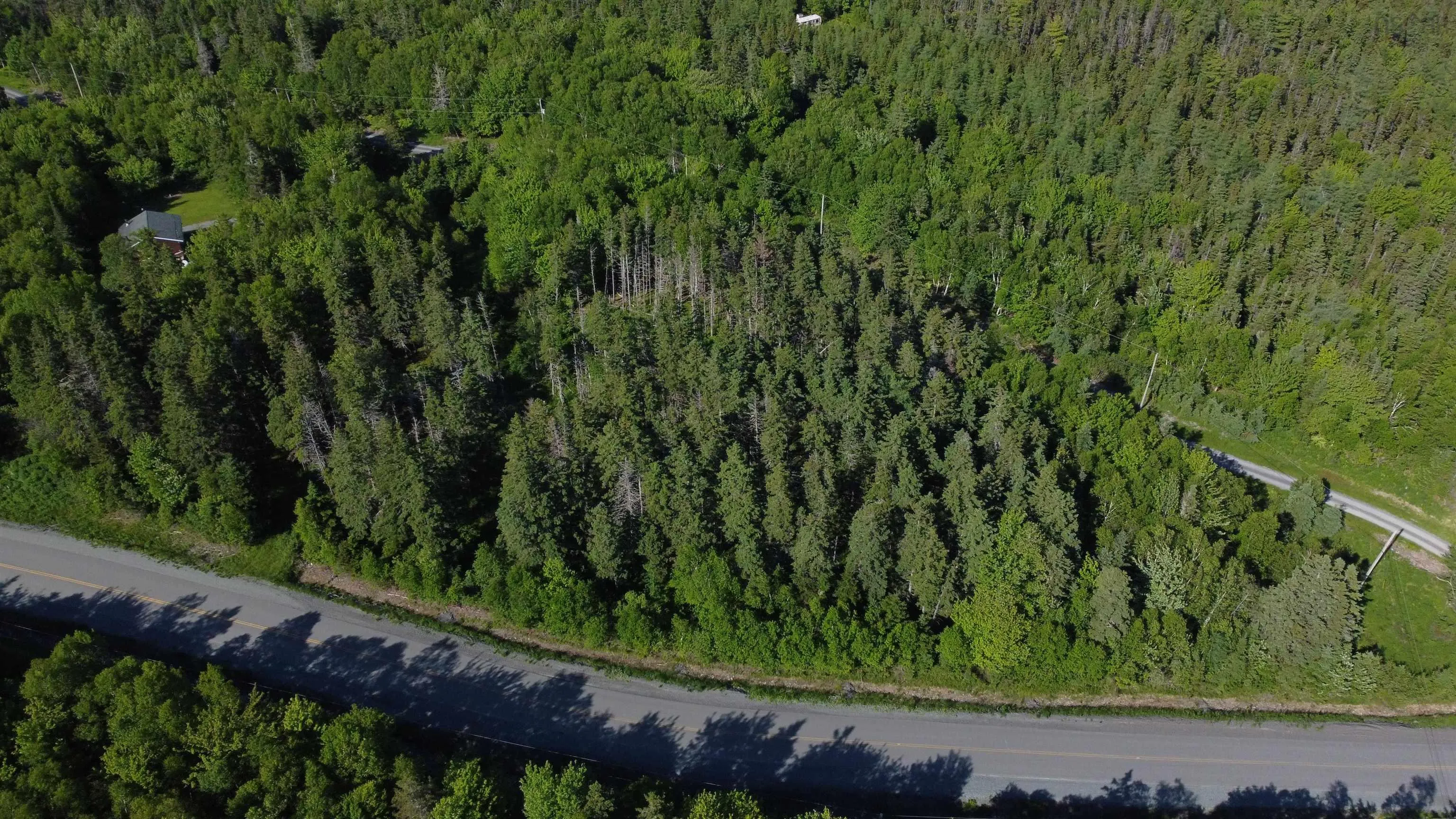 Nature Dream P Boulevard Lot 12, Roberta, NS B0E 3B0, ,Land,For Sale,Nature Dream P,202513259