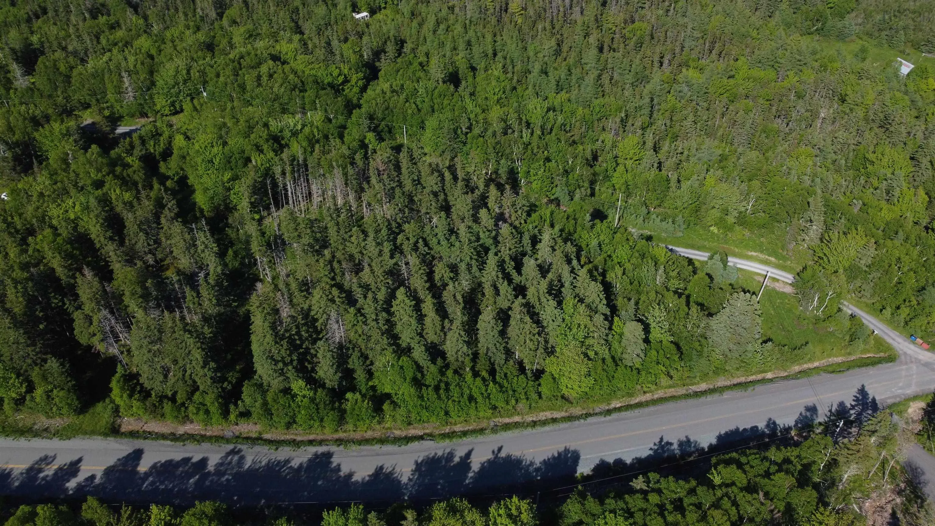 Nature Dream P Boulevard Lot 12, Roberta, NS B0E 3B0, ,Land,For Sale,Nature Dream P,202513259
