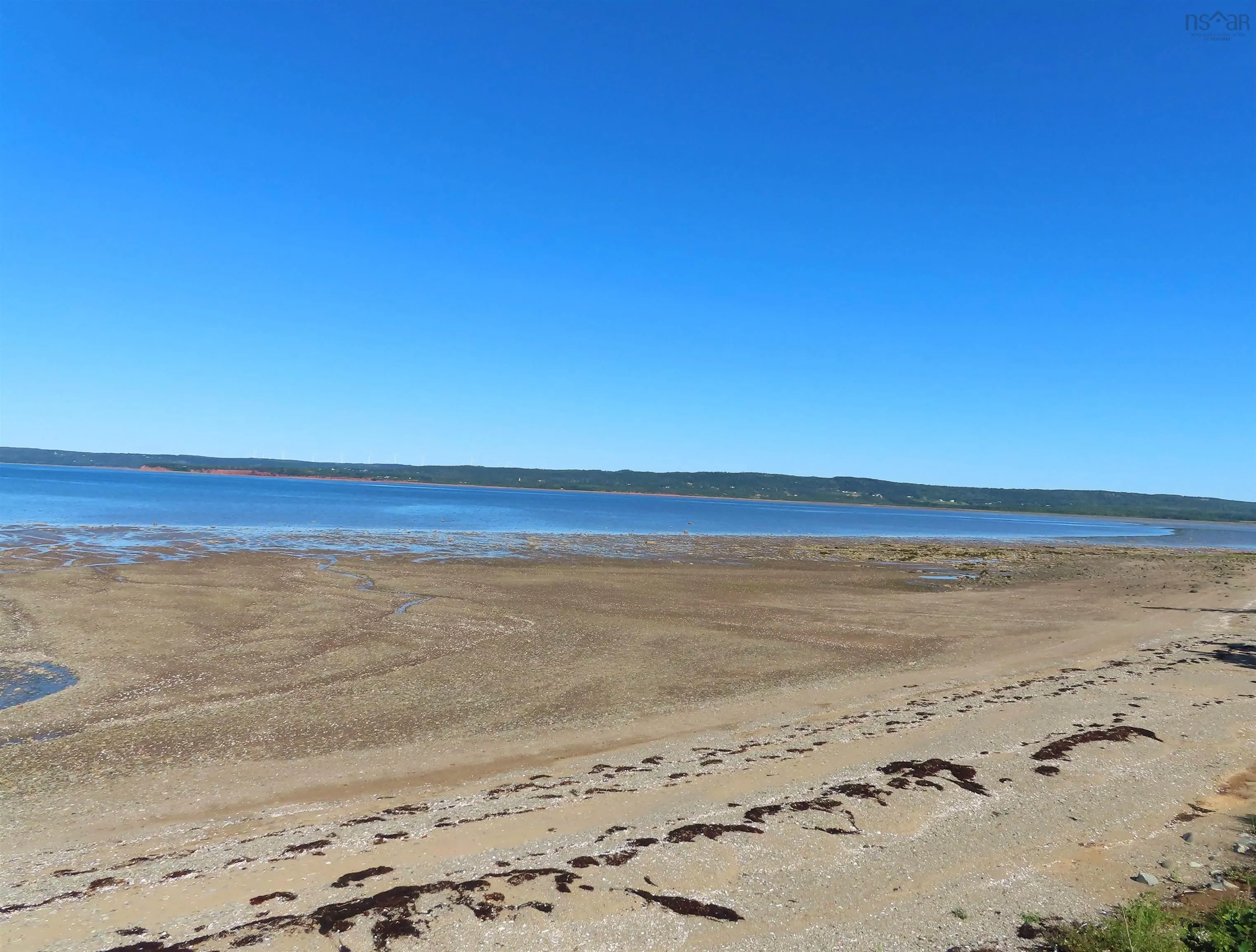 Highway 101, Brighton, NS B0W 1H0, ,Land,For Sale,Highway 101,202517798