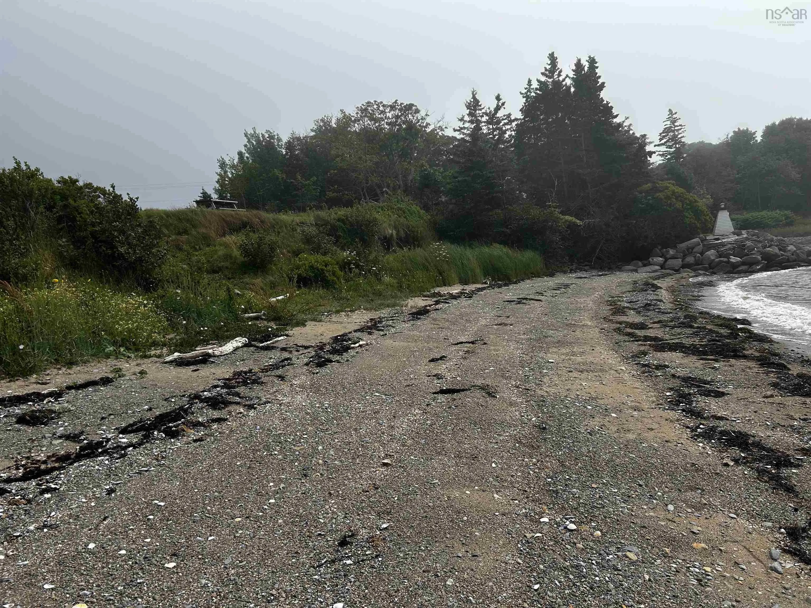 Highway 101, Brighton, NS B0W 1H0, ,Land,For Sale,Highway 101,202517798