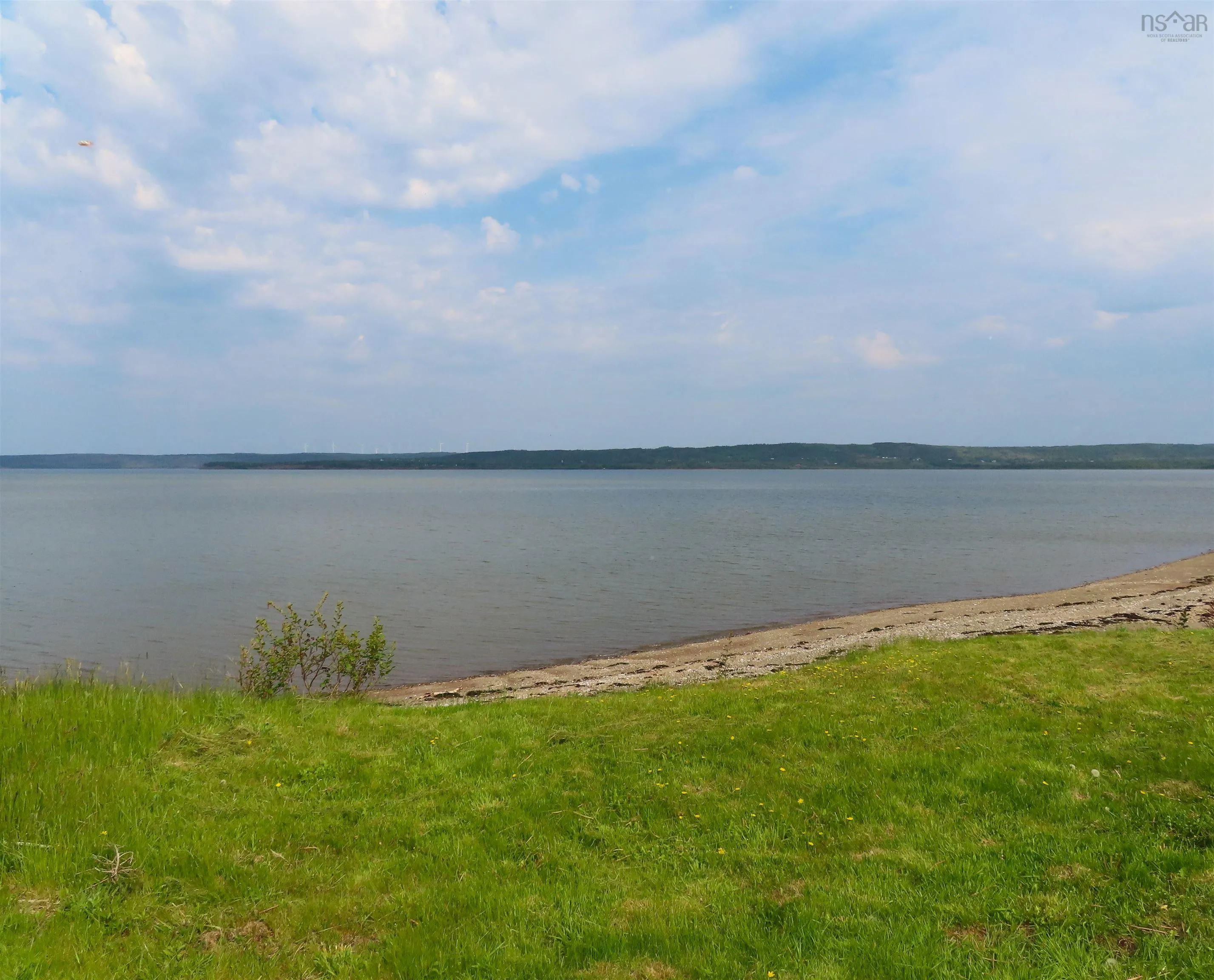 Highway 101, Brighton, NS B0W 1H0, ,Land,For Sale,Highway 101,202517798