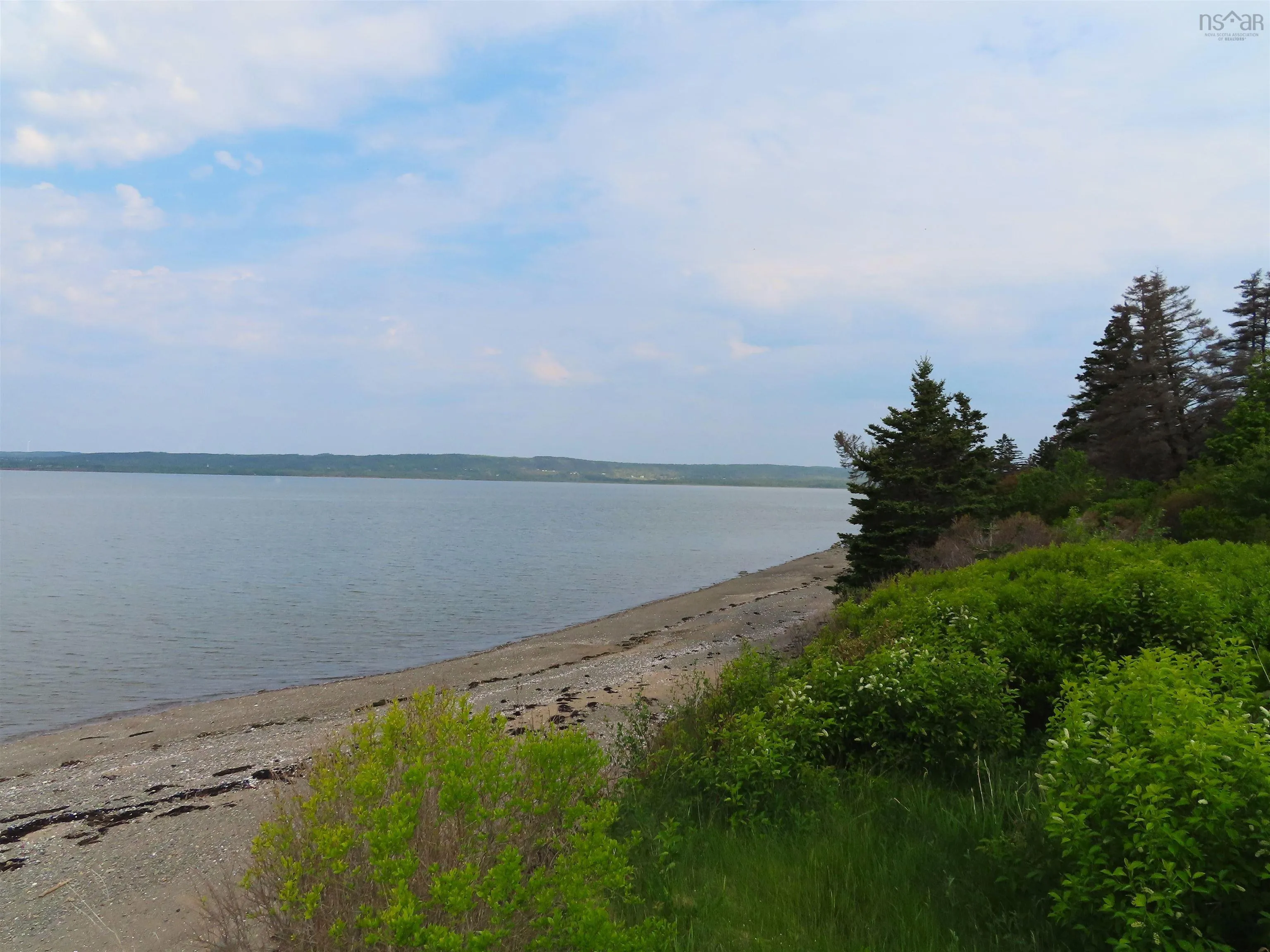 Highway 101, Brighton, NS B0W 1H0, ,Land,For Sale,Highway 101,202517798