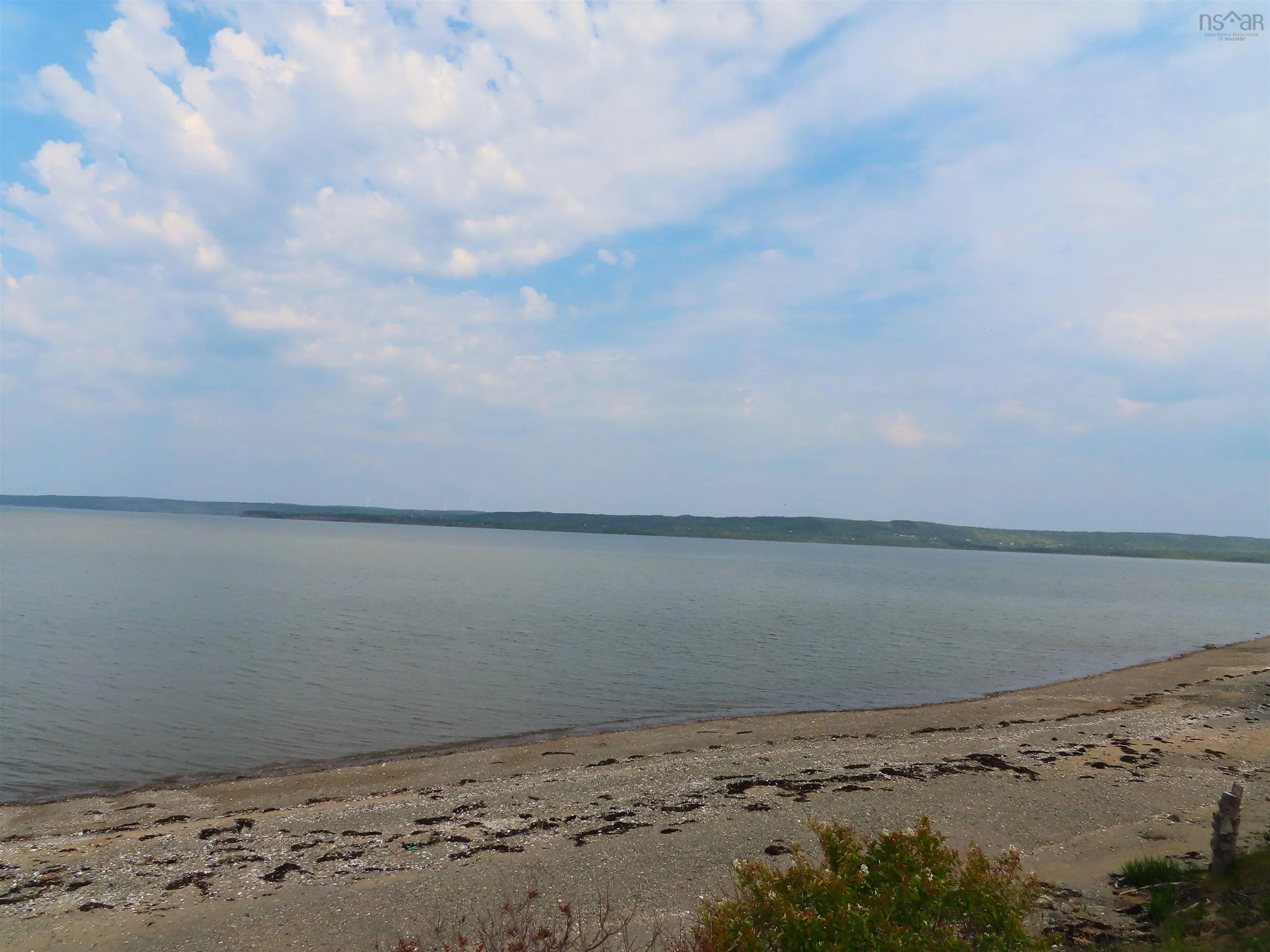 Highway 101, Brighton, NS B0W 1H0, ,Land,For Sale,Highway 101,202517798