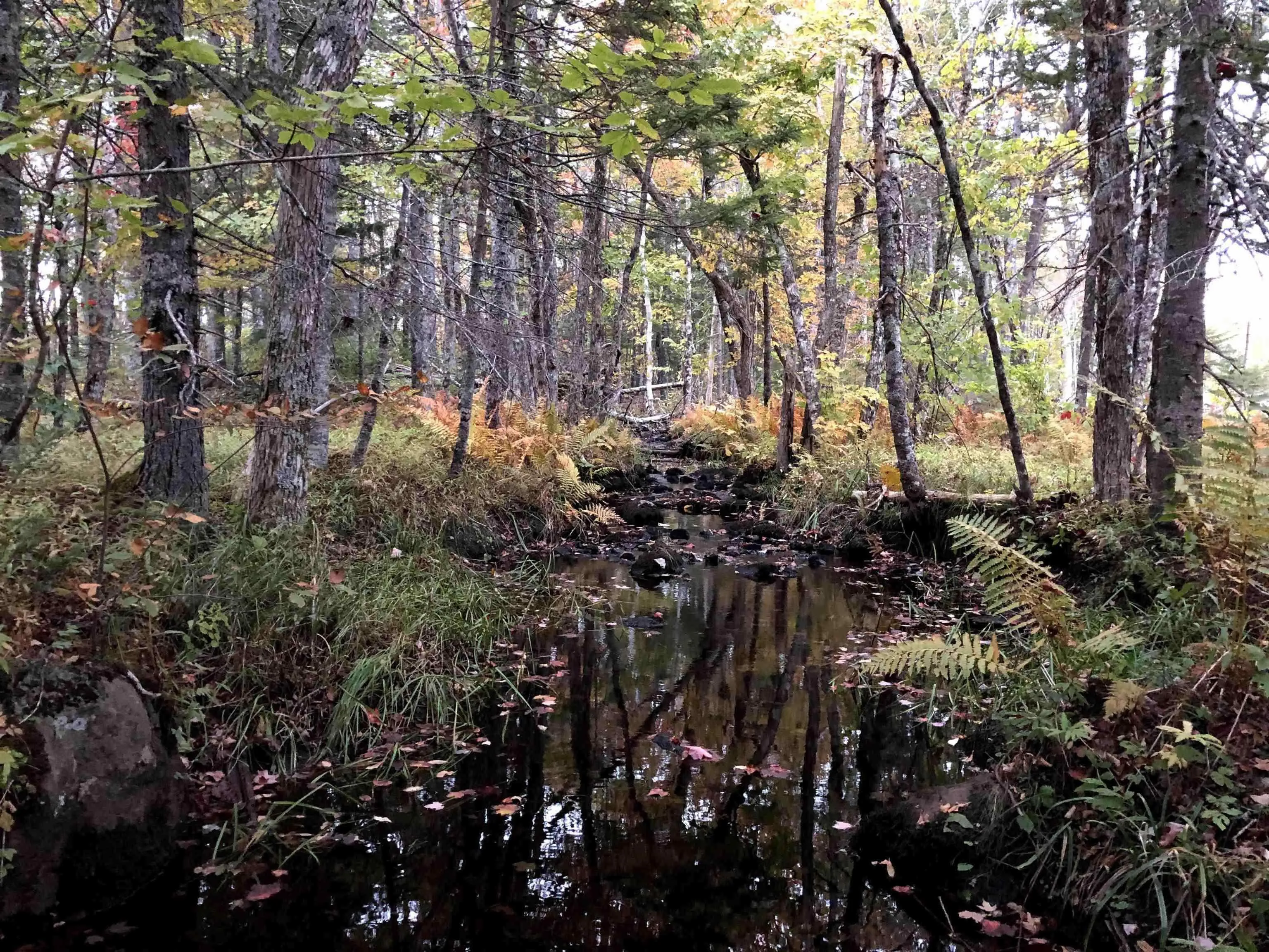 1269 Hampton Mountain Road, Hampton, NS B0S 1L0, ,Land,For Sale,Hampton Mountain,202522762