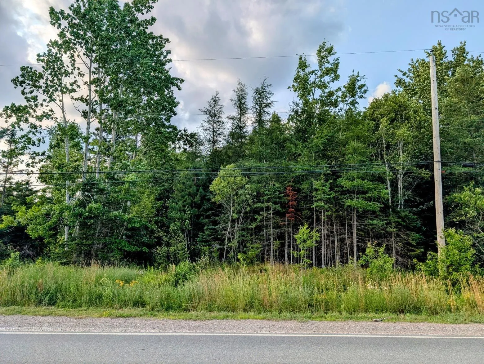 2059 No 289 Highway Lot 4, Middle Stewiacke, NS B0N 1C0, ,Land,For Sale,No 289,202517473