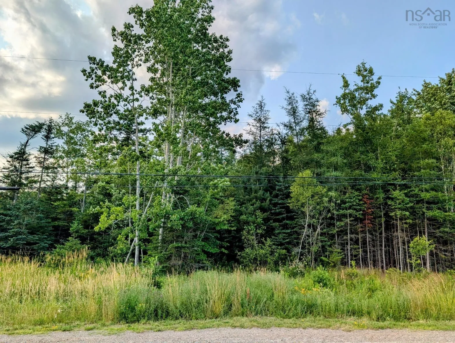 2059 No 289 Highway Lot 4, Middle Stewiacke, NS B0N 1C0, ,Land,For Sale,No 289,202517473