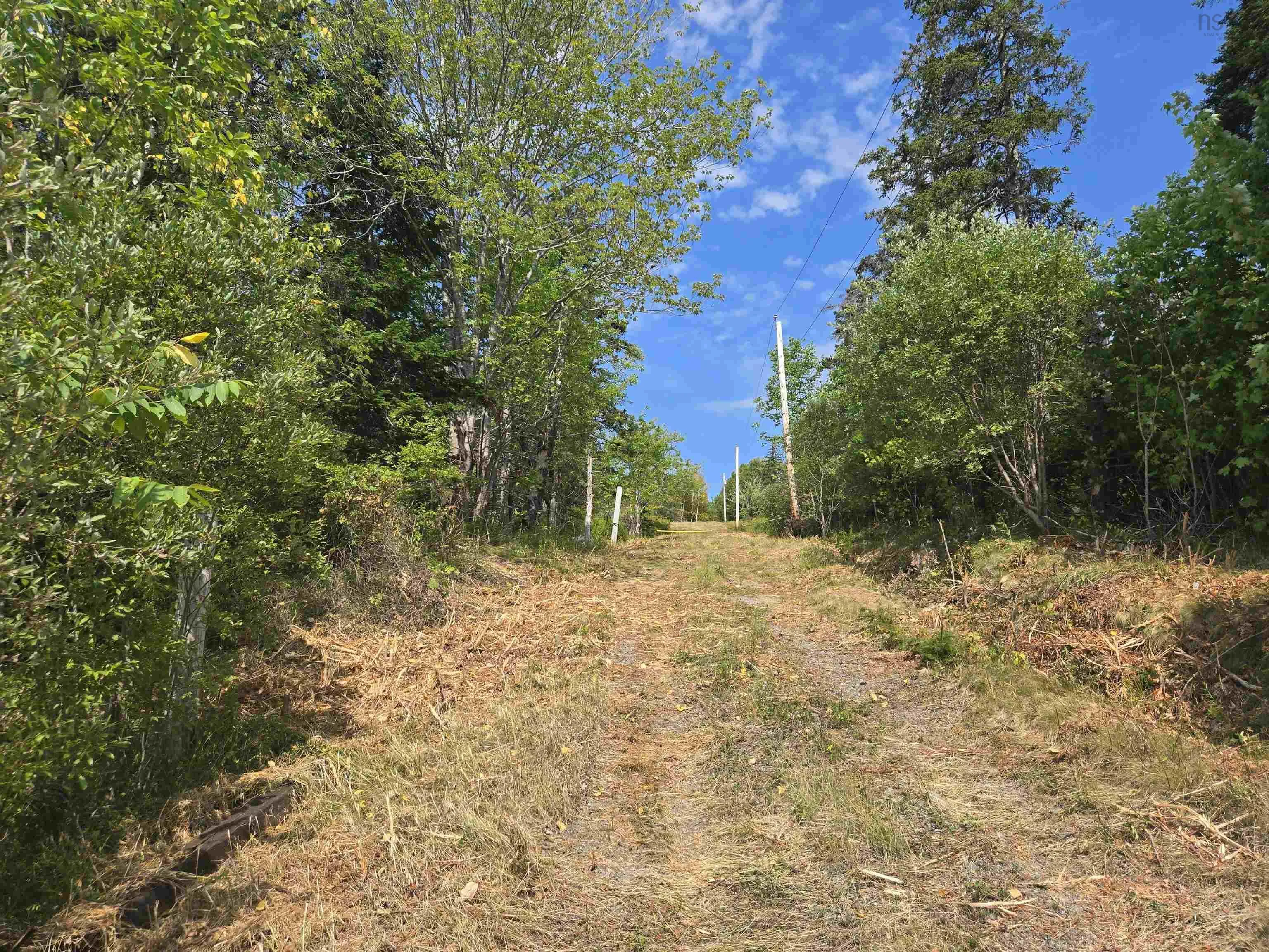 2320 Eskasoni Road, Northside East Bay, NS B1J 1H3, ,Land,For Sale,Eskasoni,202520910