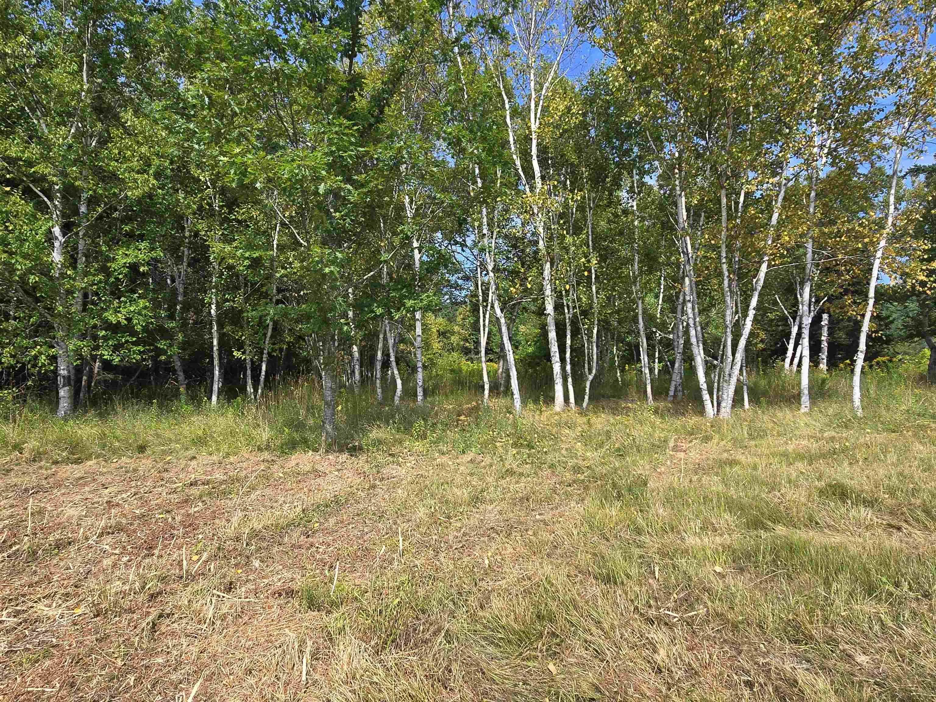2320 Eskasoni Road, Northside East Bay, NS B1J 1H3, ,Land,For Sale,Eskasoni,202520910
