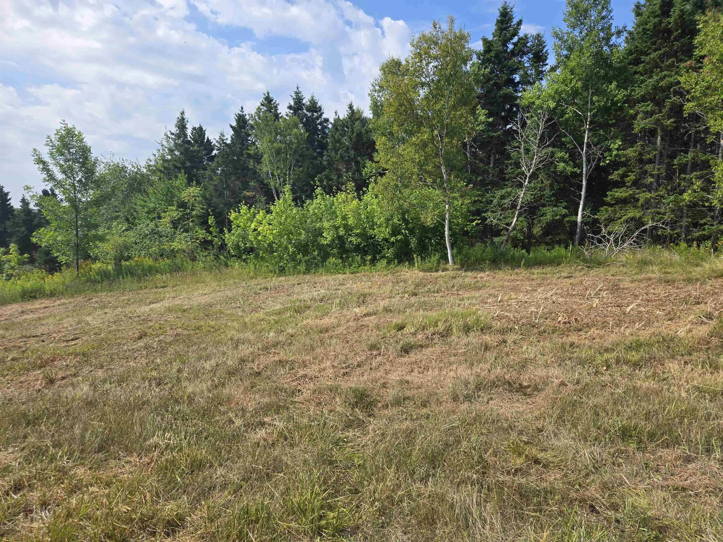 2320 Eskasoni Road, Northside East Bay, NS B1J 1H3, ,Land,For Sale,Eskasoni,202520910