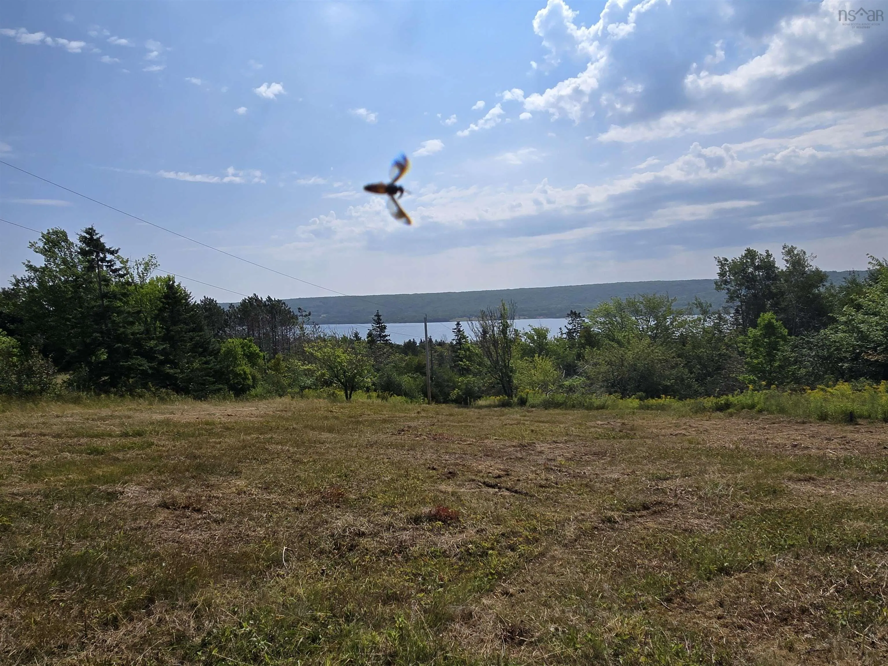 2320 Eskasoni Road, Northside East Bay, NS B1J 1H3, ,Land,For Sale,Eskasoni,202520910
