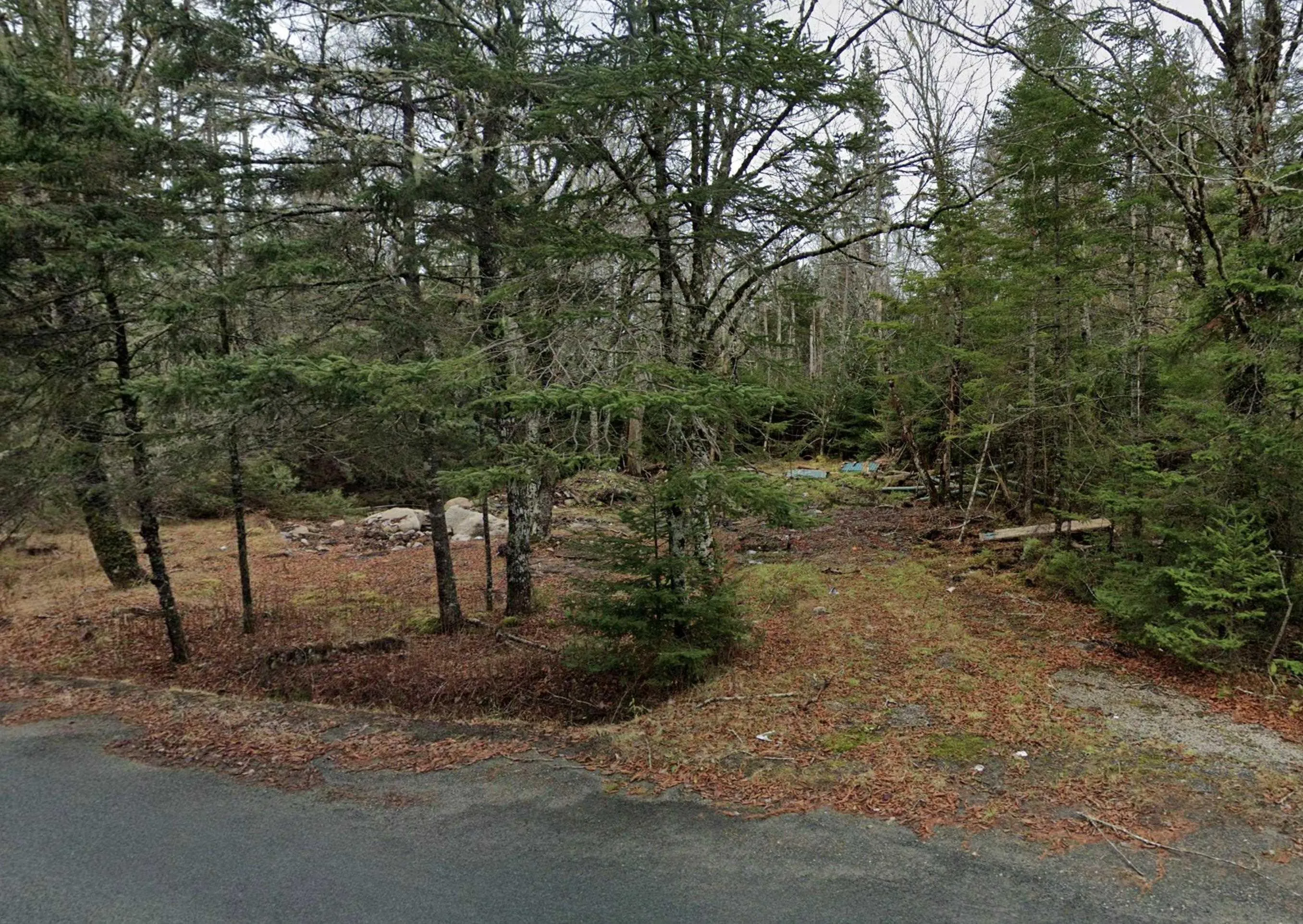 441 Conrads Road, Queensland Ns B0j 1t0, ,Land,For Sale,Conrads Road,202415270
