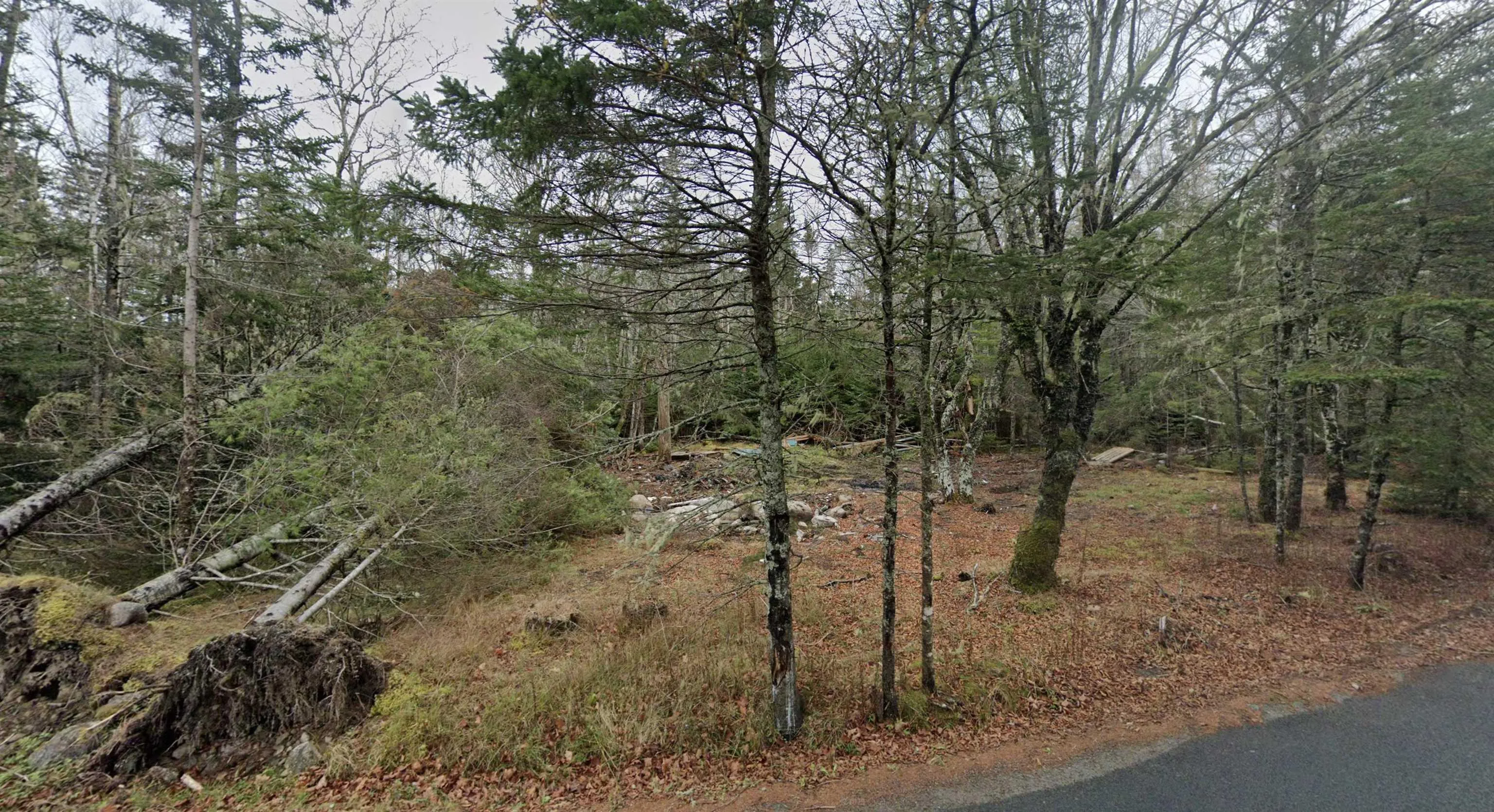 441 Conrads Road, Queensland Ns B0j 1t0, ,Land,For Sale,Conrads Road,202415270