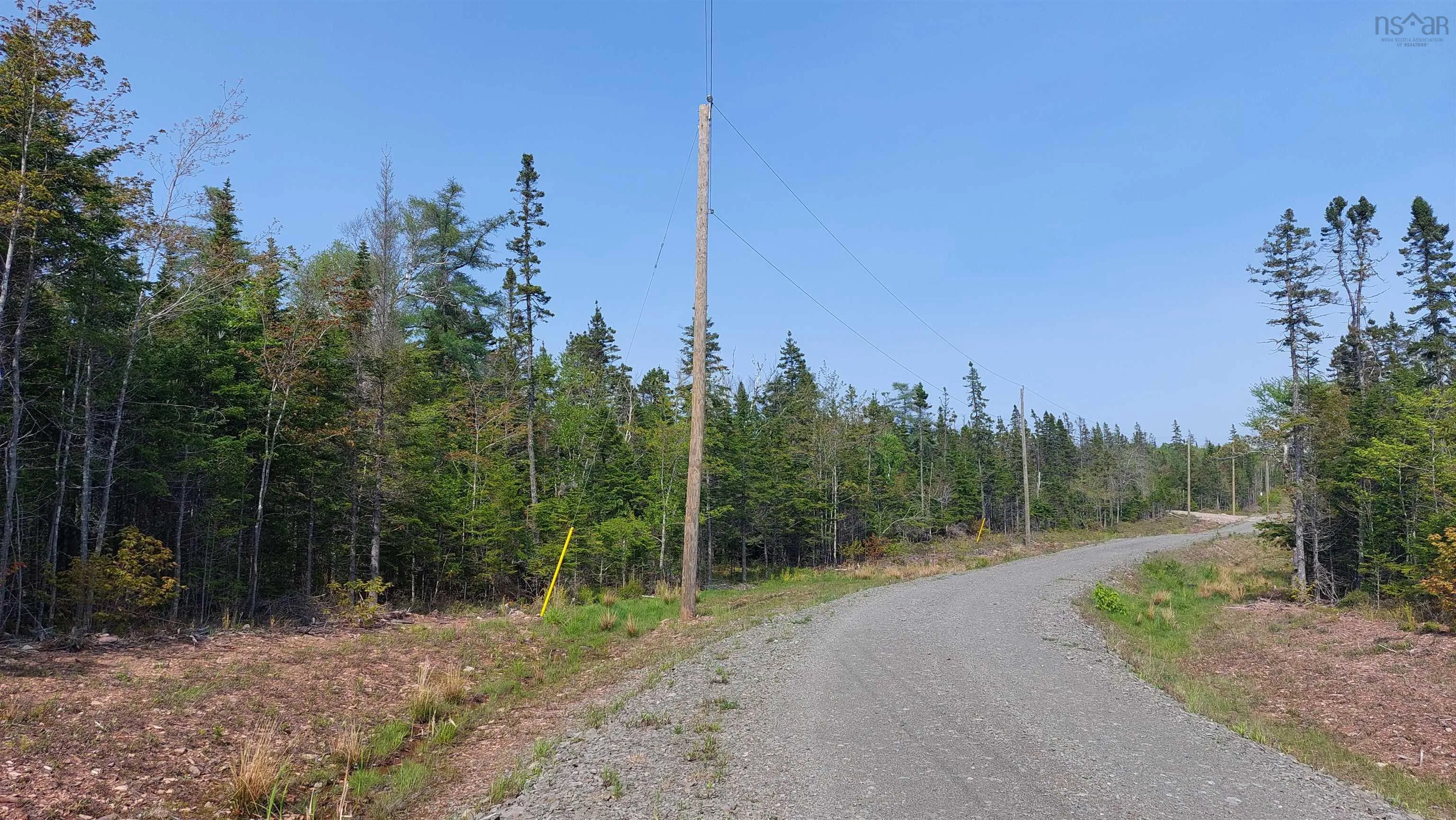 Lot 18 Highway 4, False Bay, NS B0E 1V0, ,Land,For Sale,Highway 4,202513205