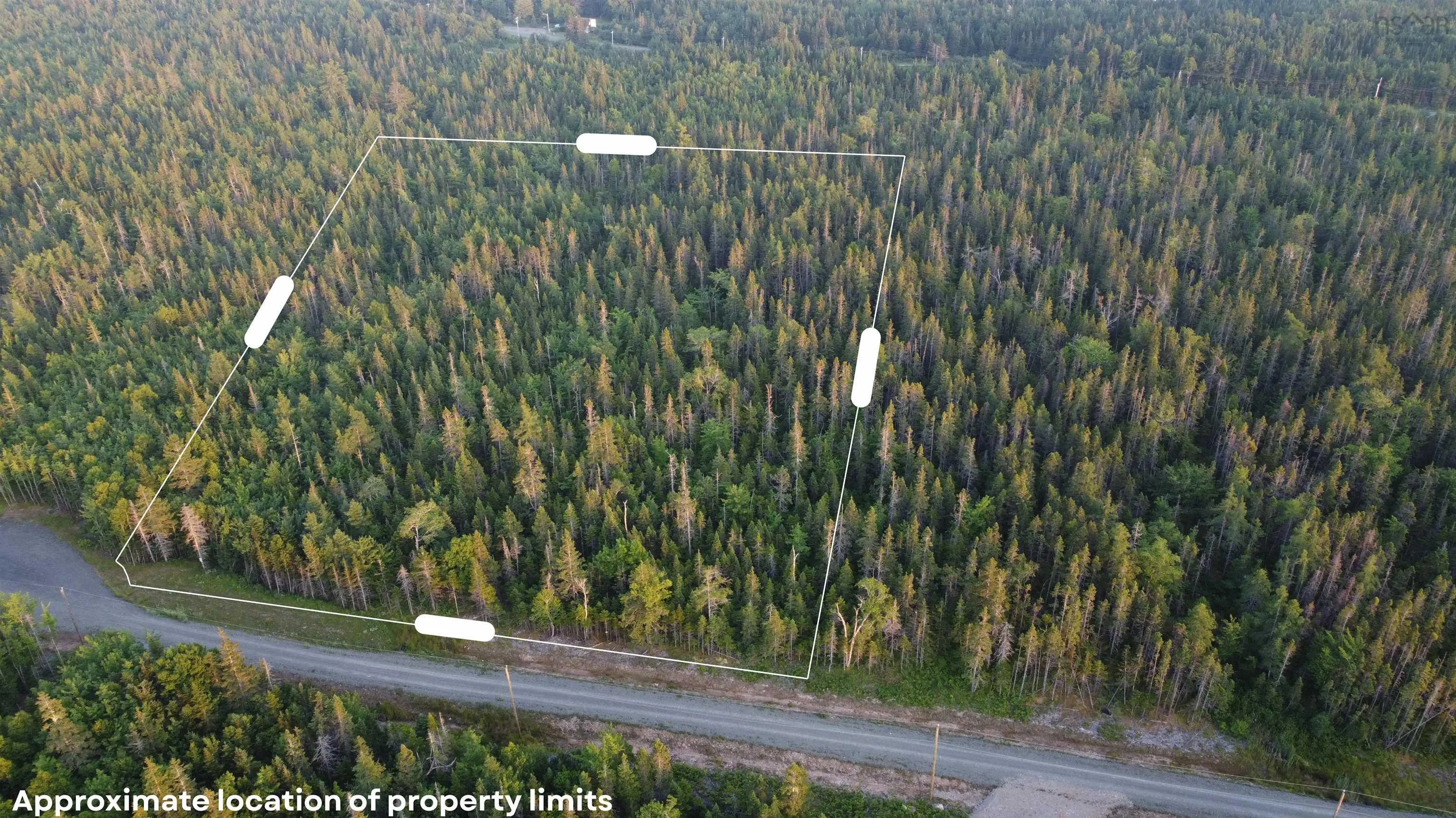 Lot 18 Highway 4, False Bay, NS B0E 1V0, ,Land,For Sale,Highway 4,202513205
