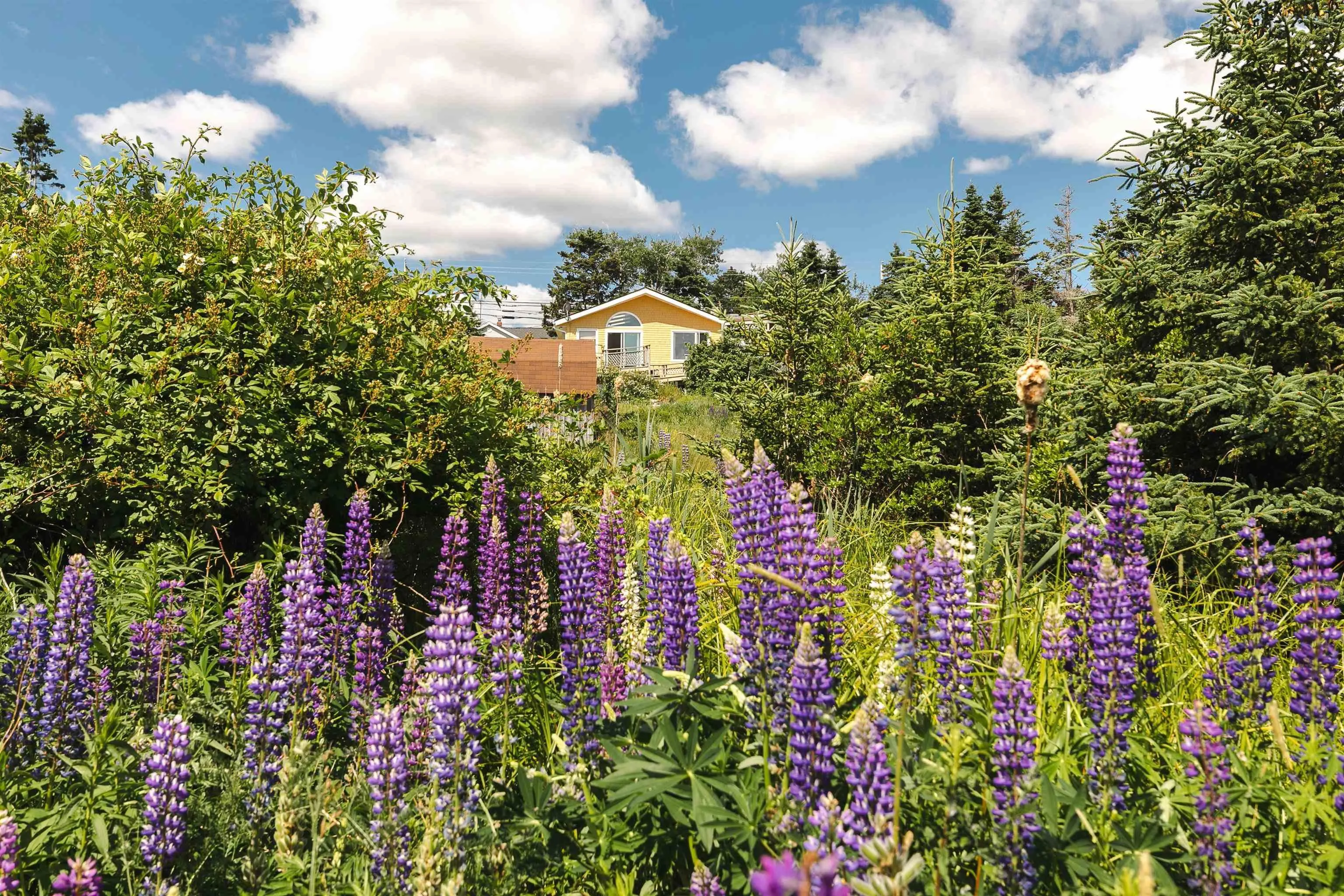 664 Ketch Harbour Road, Portuguese Cove, NS B3V 1K2, 2 Bedrooms Bedrooms, ,2 BathroomsBathrooms,Residential,For Sale,Ketch Harbour,202516038