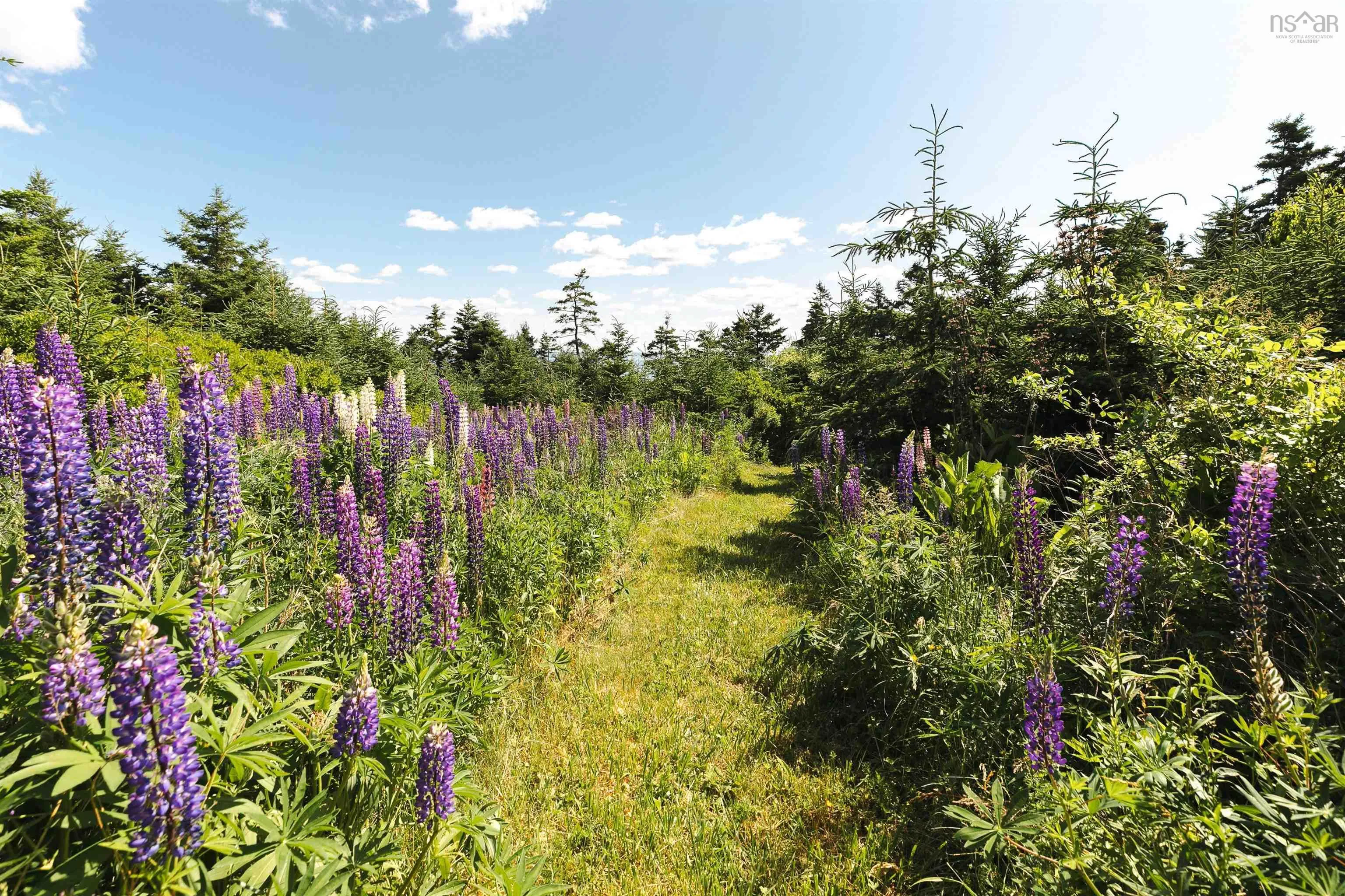 664 Ketch Harbour Road, Portuguese Cove, NS B3V 1K2, 2 Bedrooms Bedrooms, ,2 BathroomsBathrooms,Residential,For Sale,Ketch Harbour,202516038