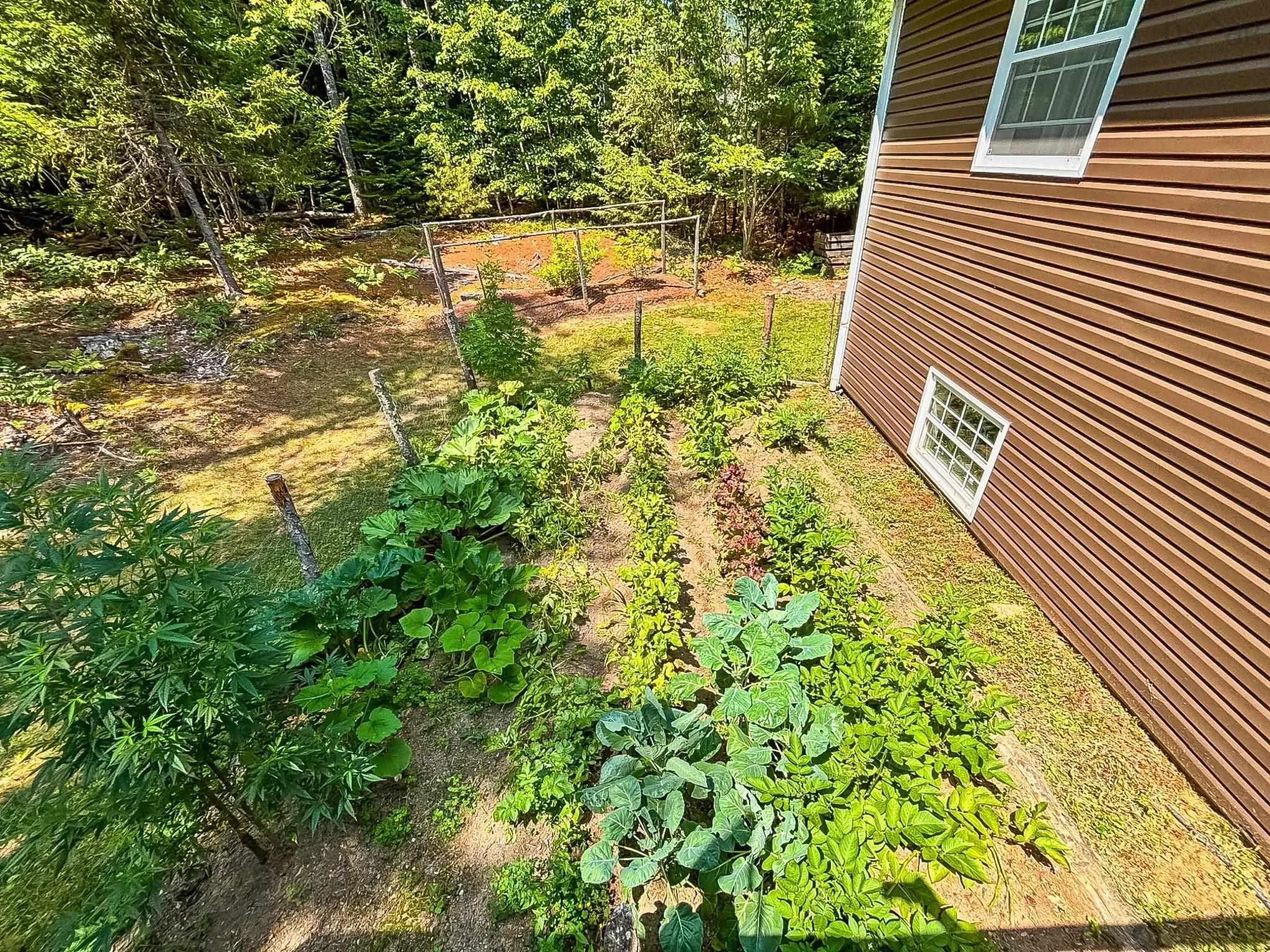 11 Adam Ridge Lane, Pine Grove, NS B0J 1E0, 3 Bedrooms Bedrooms, ,3 BathroomsBathrooms,Residential,For Sale,Adam Ridge,202519558