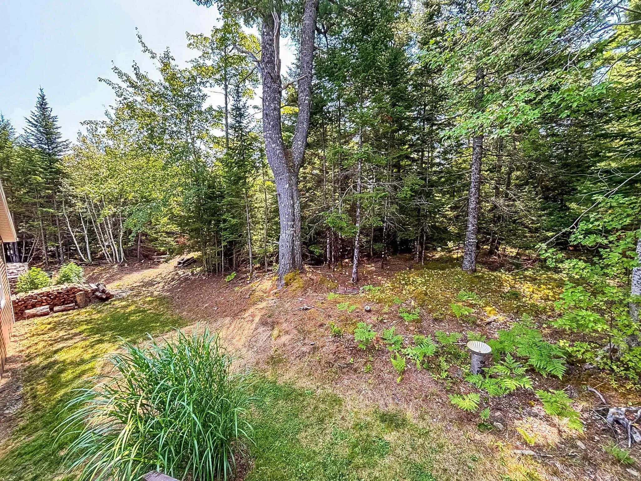 11 Adam Ridge Lane, Pine Grove, NS B0J 1E0, 3 Bedrooms Bedrooms, ,3 BathroomsBathrooms,Residential,For Sale,Adam Ridge,202519558