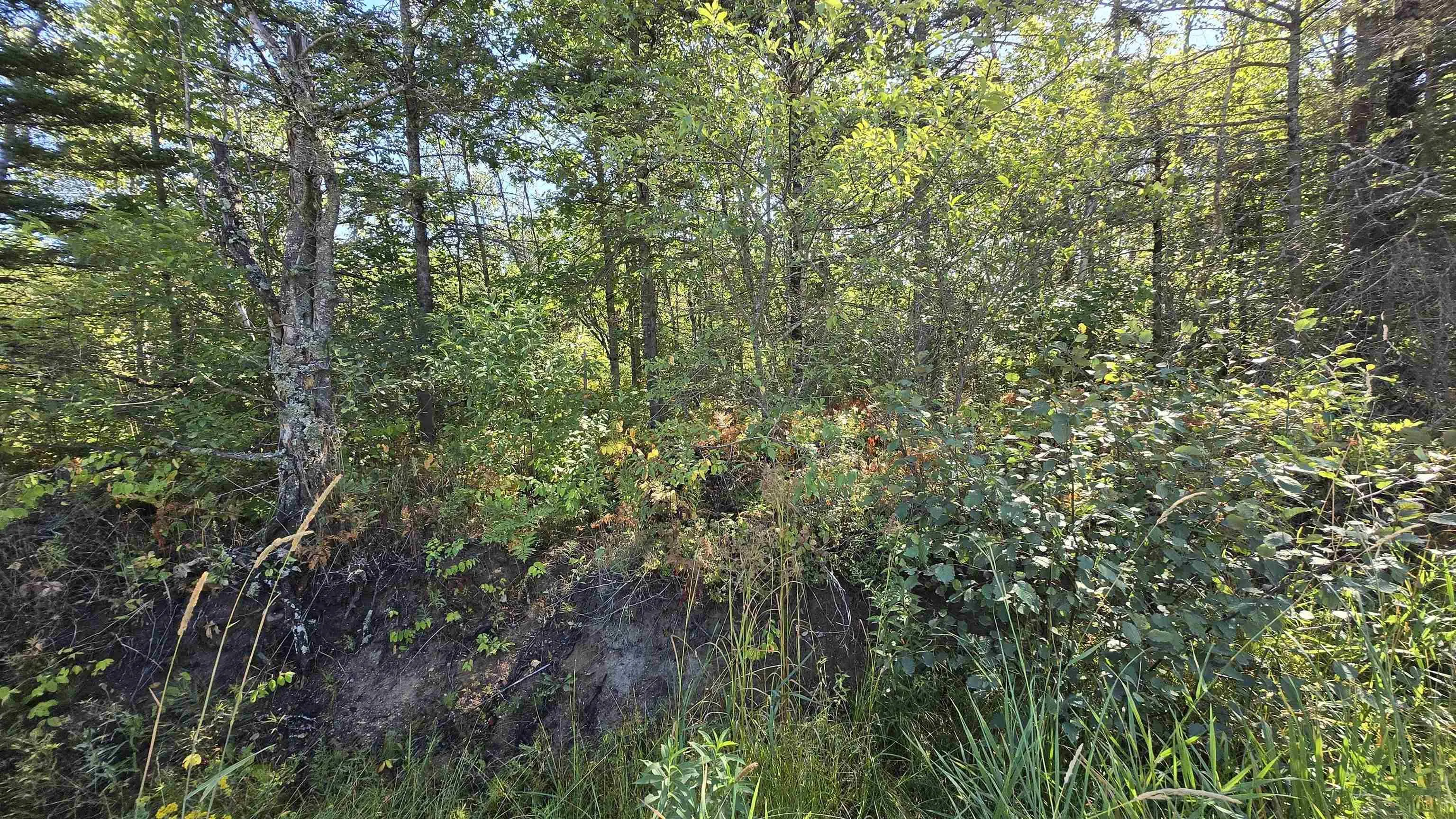 Messenger Road Lot 3, Paradise, NS B0S 1R0, ,Land,For Sale,Messenger,202520944