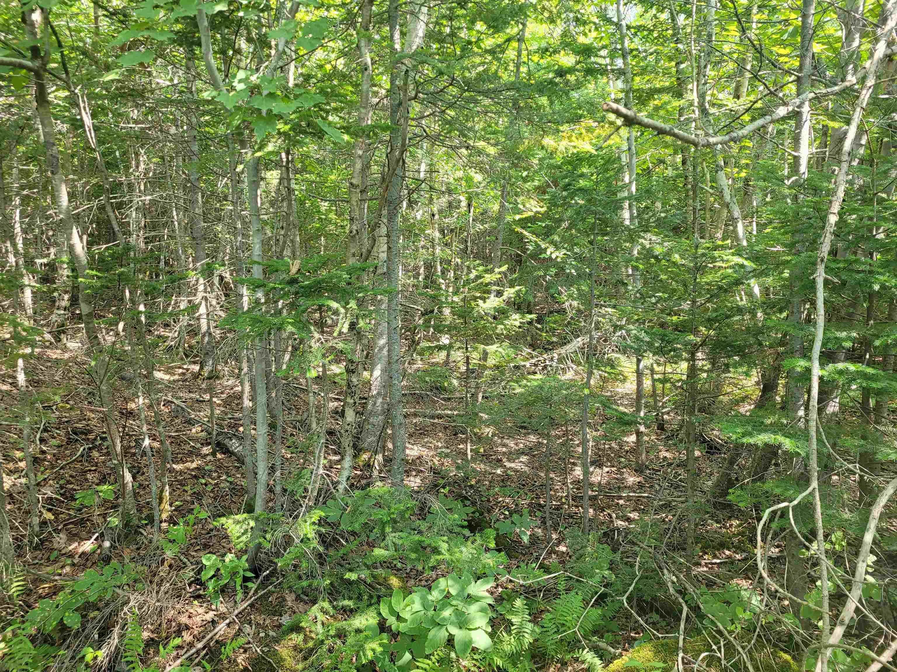 Crandall Road, Crandall Road, NS B9A 1W9, ,Land,For Sale,Crandall,202523269
