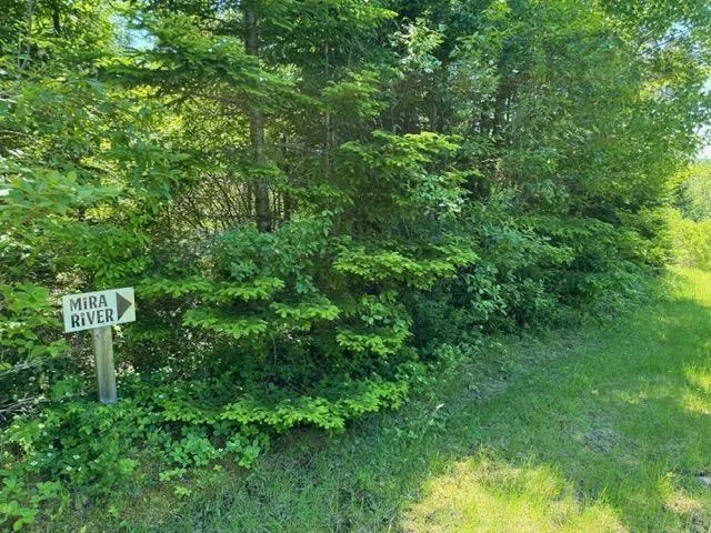 Jonny Cash Lane, Juniper Mountain Ns B1k 0c2, ,Land,For Sale,Johnny Cash Lane,202509531