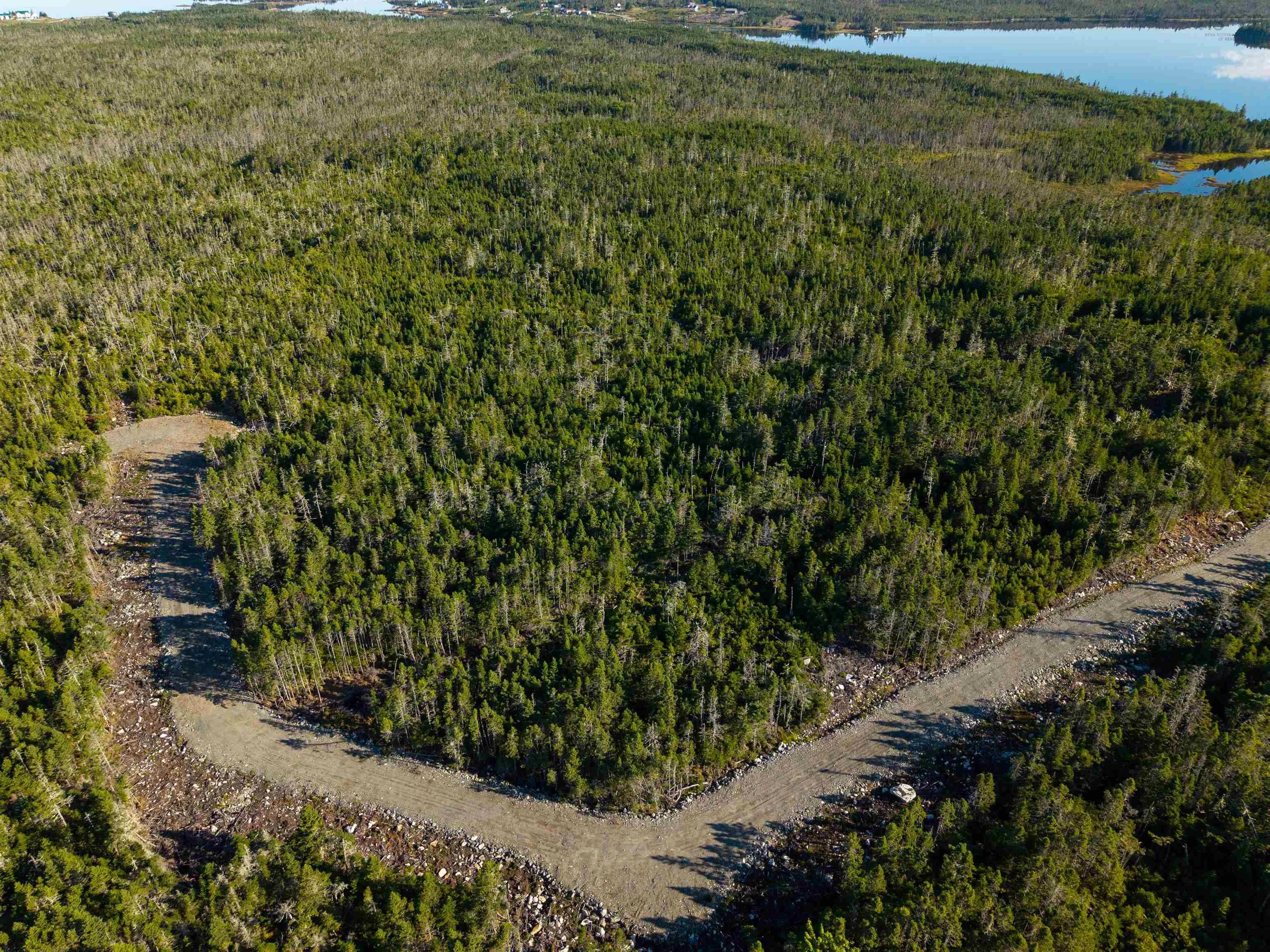 Lot 6-107 Ostrea Lake Road Road, Pleasant Point, NS B0J 2L0, ,Land,For Sale,Ostrea Lake Road,202522543