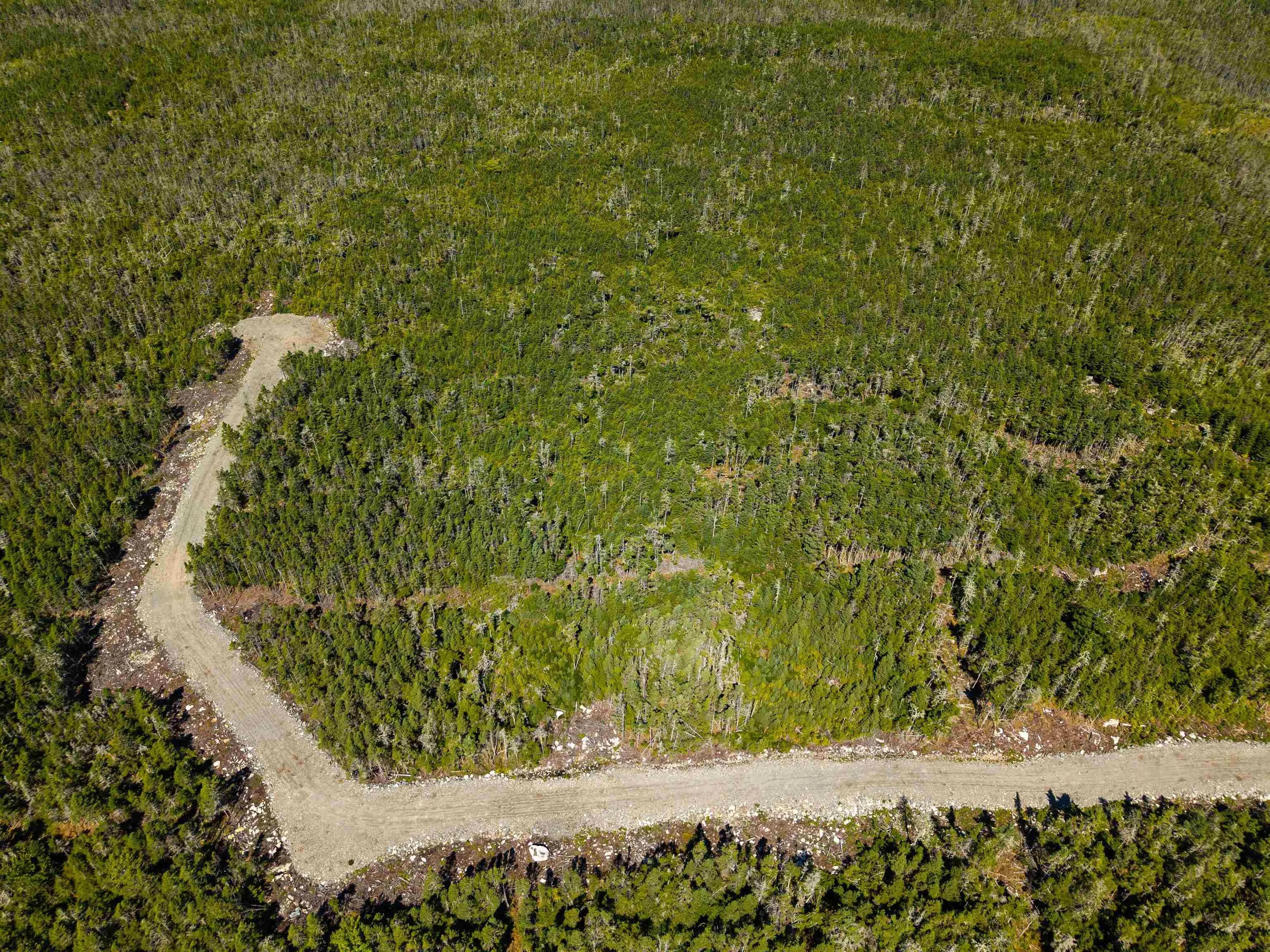 Lot 6-107 Ostrea Lake Road Road, Pleasant Point, NS B0J 2L0, ,Land,For Sale,Ostrea Lake Road,202522543
