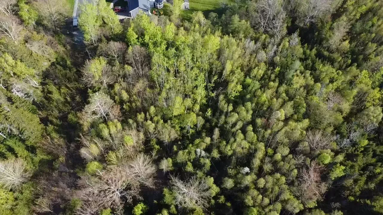 24-1 Forest Drive Extension, Pictou, NS B0K 1H0, ,Land,For Sale,Forest Drive,202512064