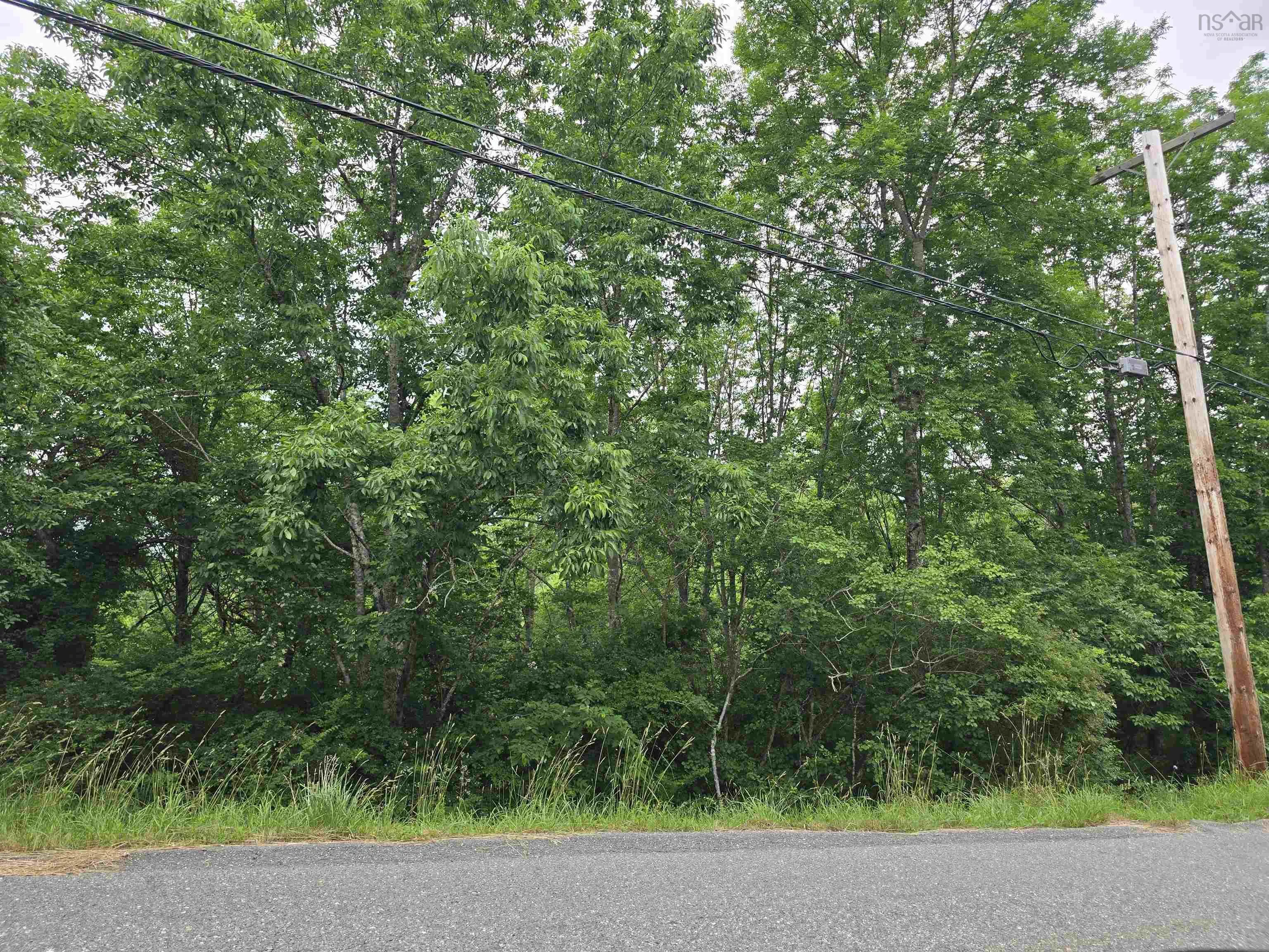 Centennial Avenue, Lunenburg, NS B0J 2C0, ,Land,For Sale,Centennial,202517685