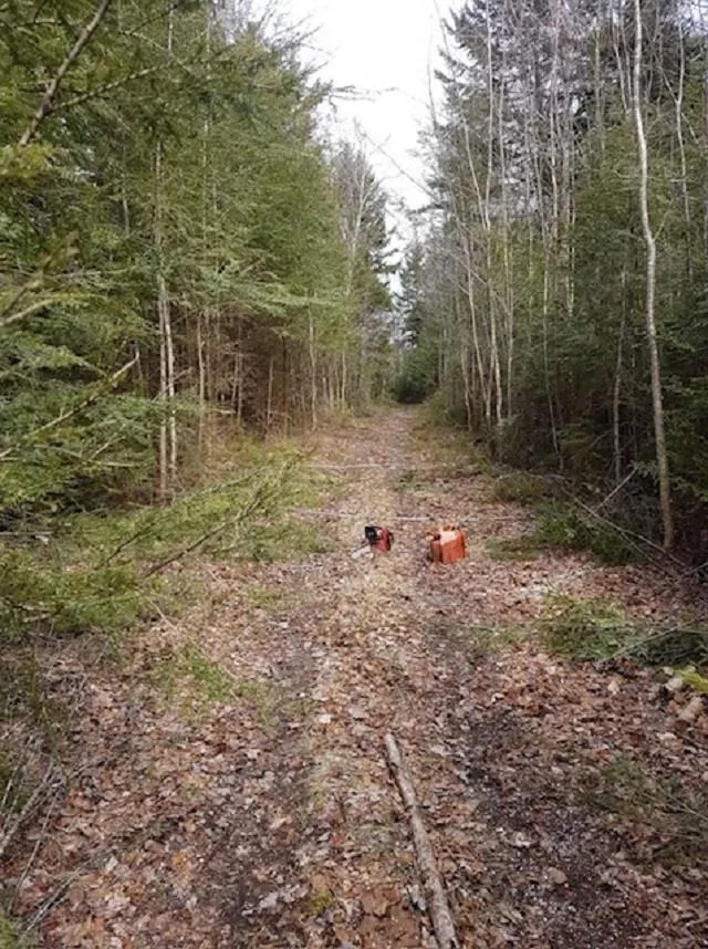 Old North Range Road, Gilberts Cove, NS B0W 3T0, ,Land,For Sale,Old North Range,202518212
