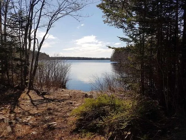 Old North Range Road, Gilberts Cove, NS B0W 3T0, ,Land,For Sale,Old North Range,202518212