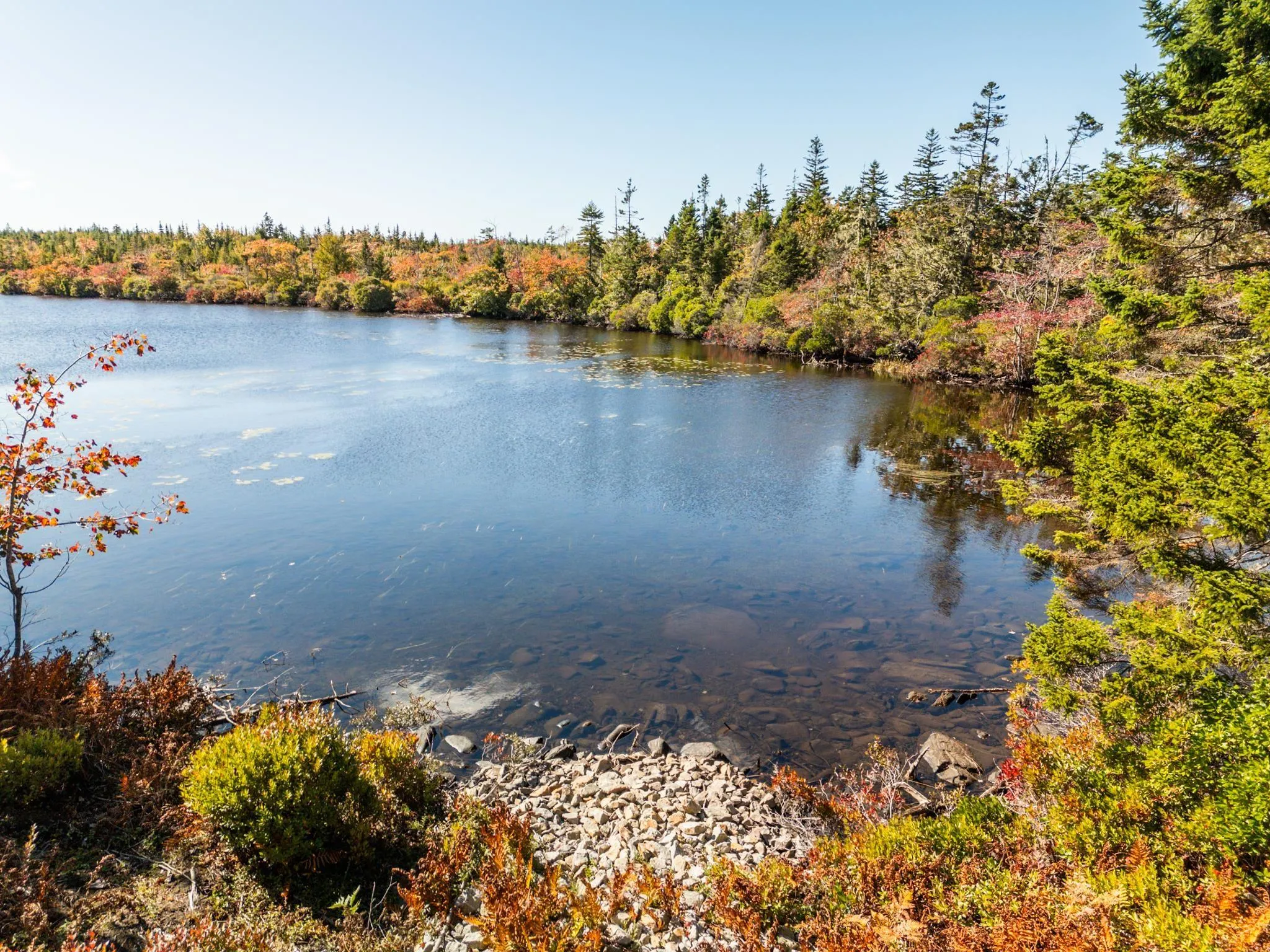Twin Lakes Road Lot 5, Richmond, NS B5A 5L4, ,Land,For Sale,Twin Lakes,202525520
