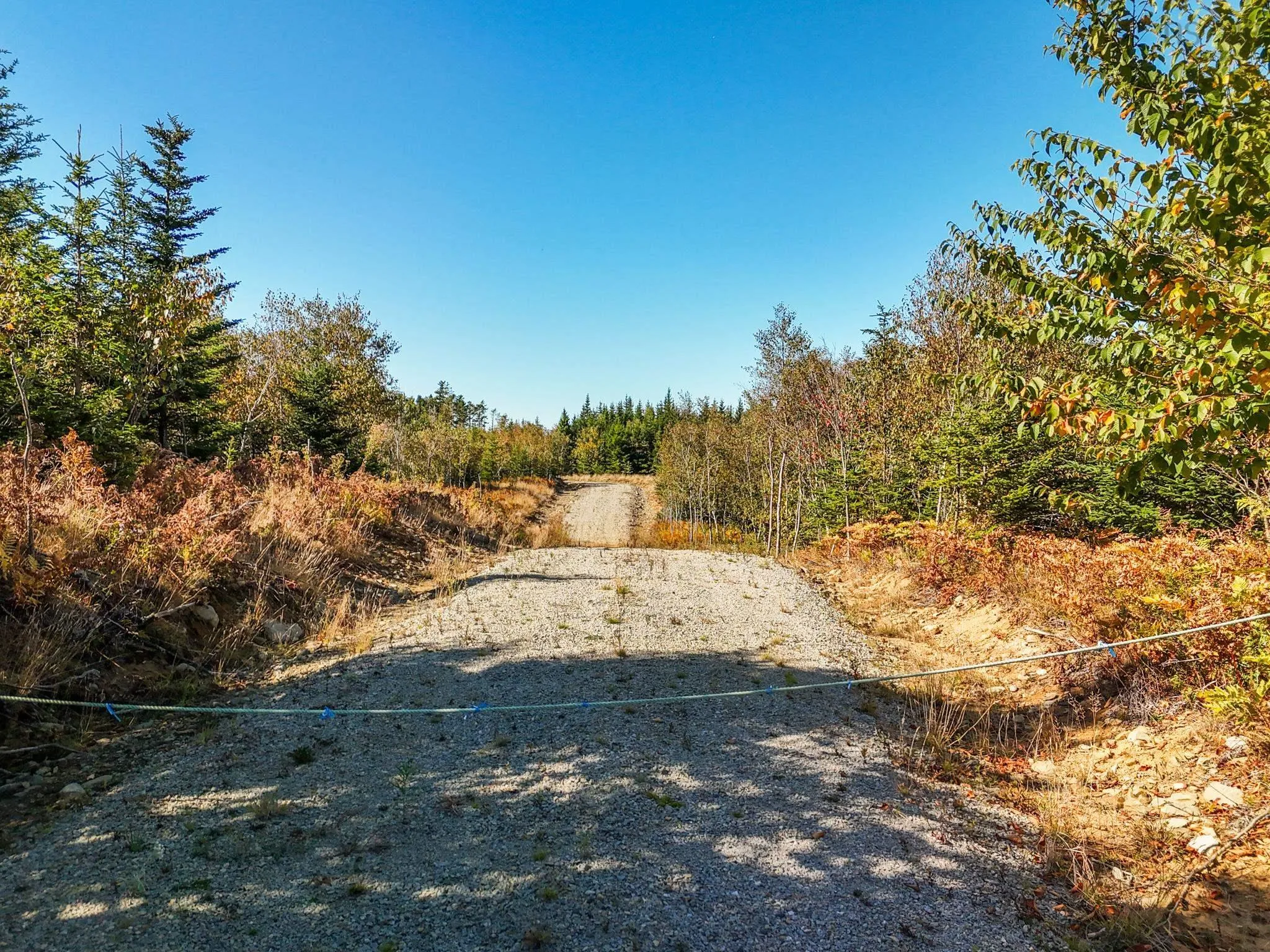 Twin Lakes Road Lot 5, Richmond, NS B5A 5L4, ,Land,For Sale,Twin Lakes,202525520