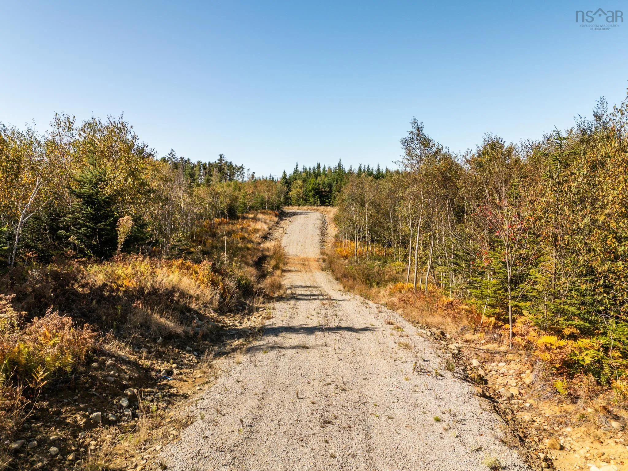 Twin Lakes Road Lot 5, Richmond, NS B5A 5L4, ,Land,For Sale,Twin Lakes,202525520