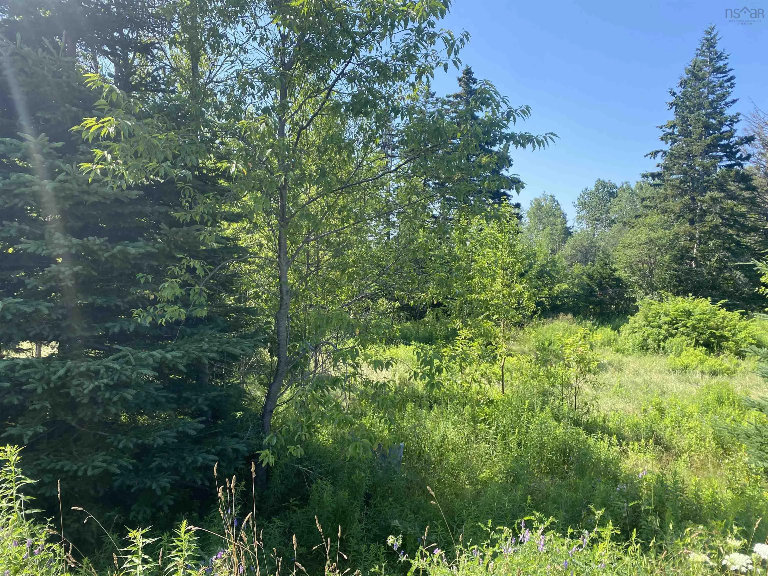 Lot 8 Spruce Meadow Dr., Mill Creek, NS B1Y 1W7, ,Land,For Sale,Spruce Meadow Dr.,202412783