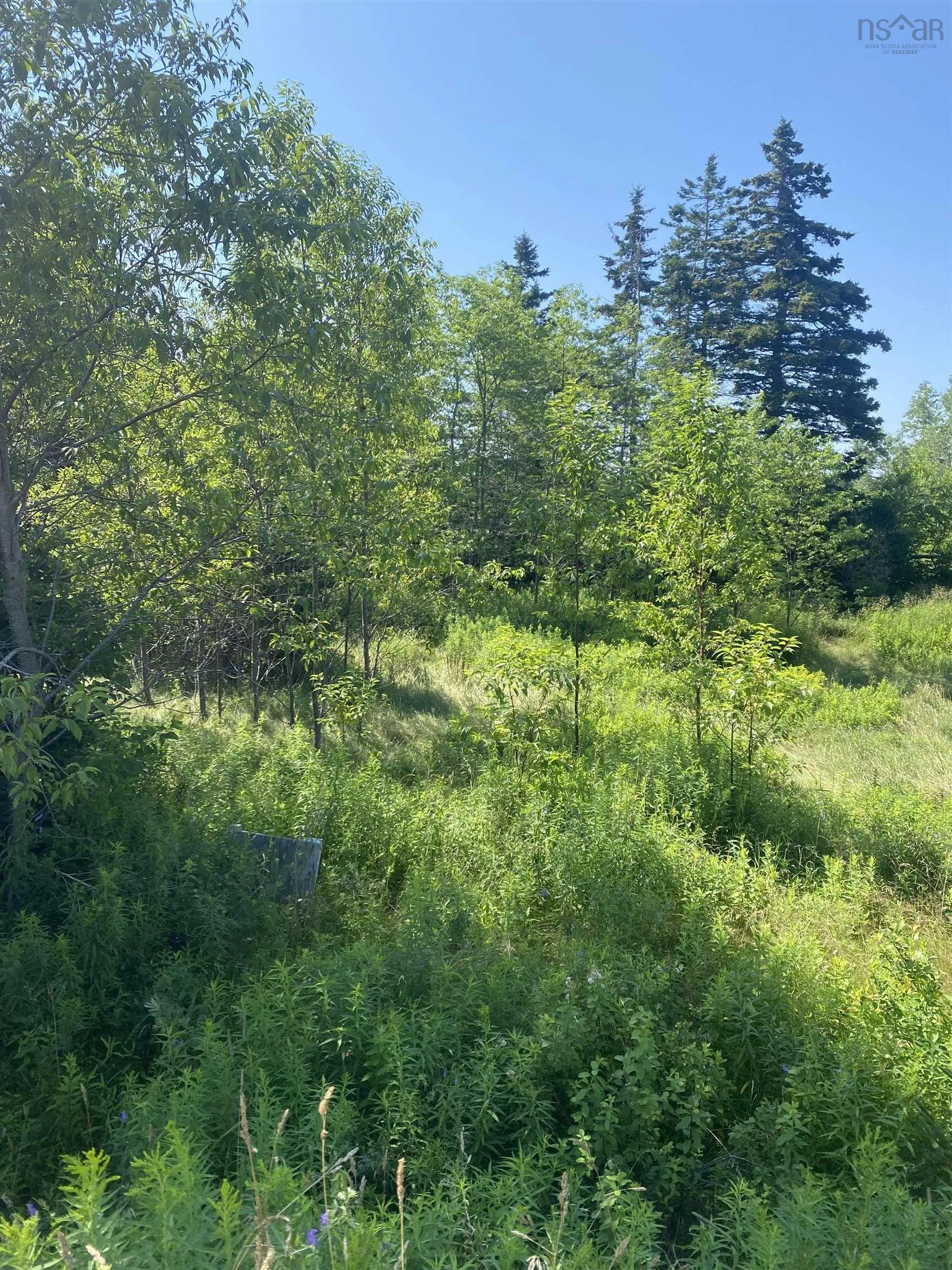 Lot 8 Spruce Meadow Dr., Mill Creek, NS B1Y 1W7, ,Land,For Sale,Spruce Meadow Dr.,202412783