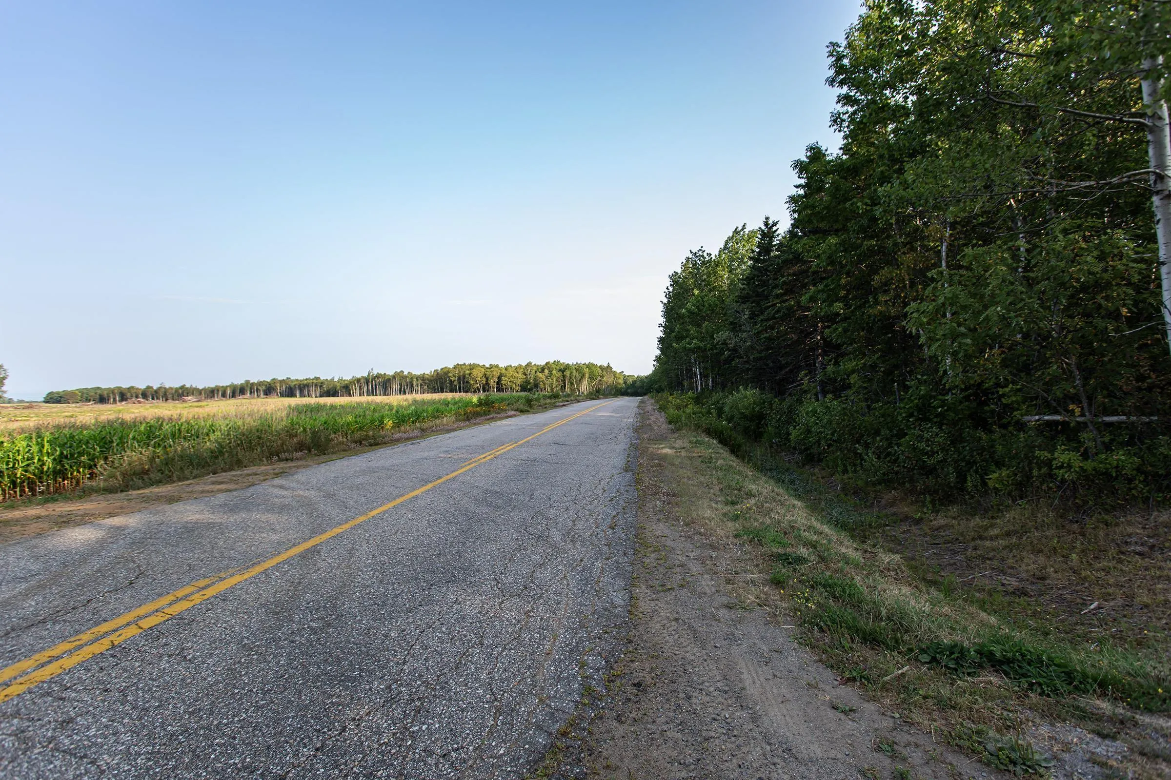 Lot Ben Phinney Road, Forest Glade, NS B0S 1N0, ,Land,For Sale,Ben Phinney,202520425