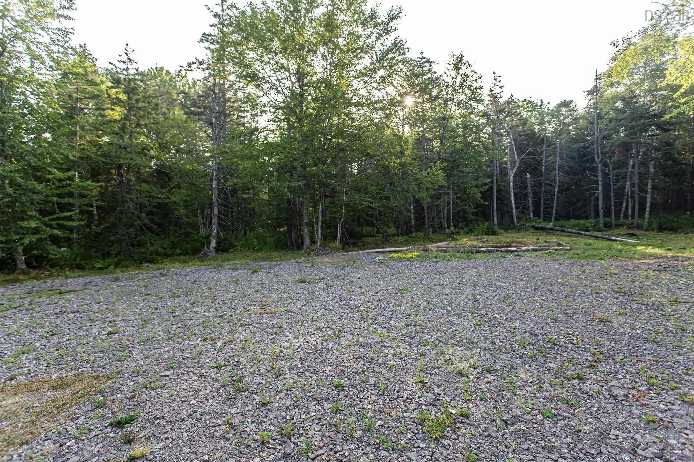 Lot Ben Phinney Road, Forest Glade, NS B0S 1N0, ,Land,For Sale,Ben Phinney,202520425