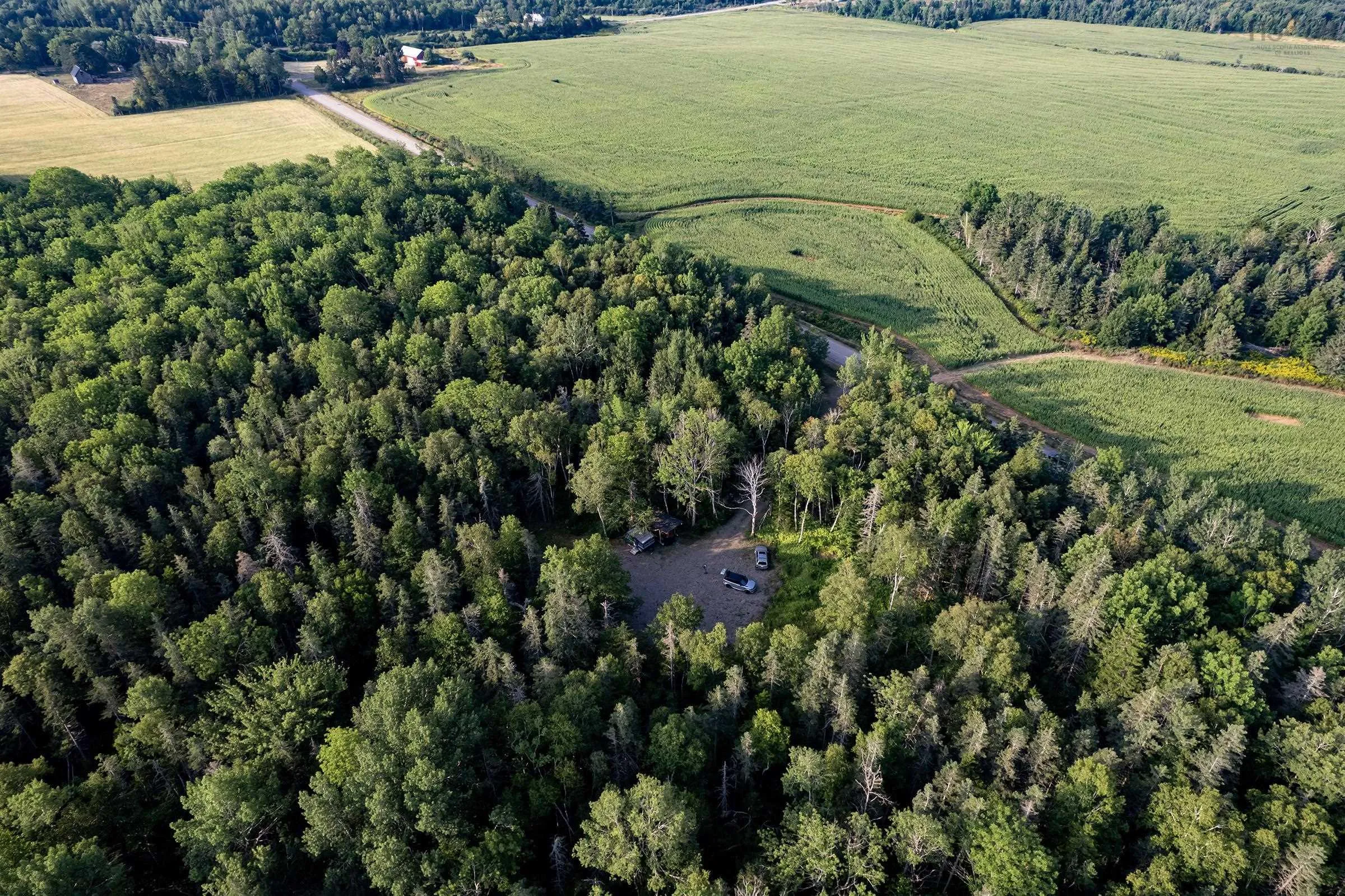 Lot Ben Phinney Road, Forest Glade, NS B0S 1N0, ,Land,For Sale,Ben Phinney,202520425
