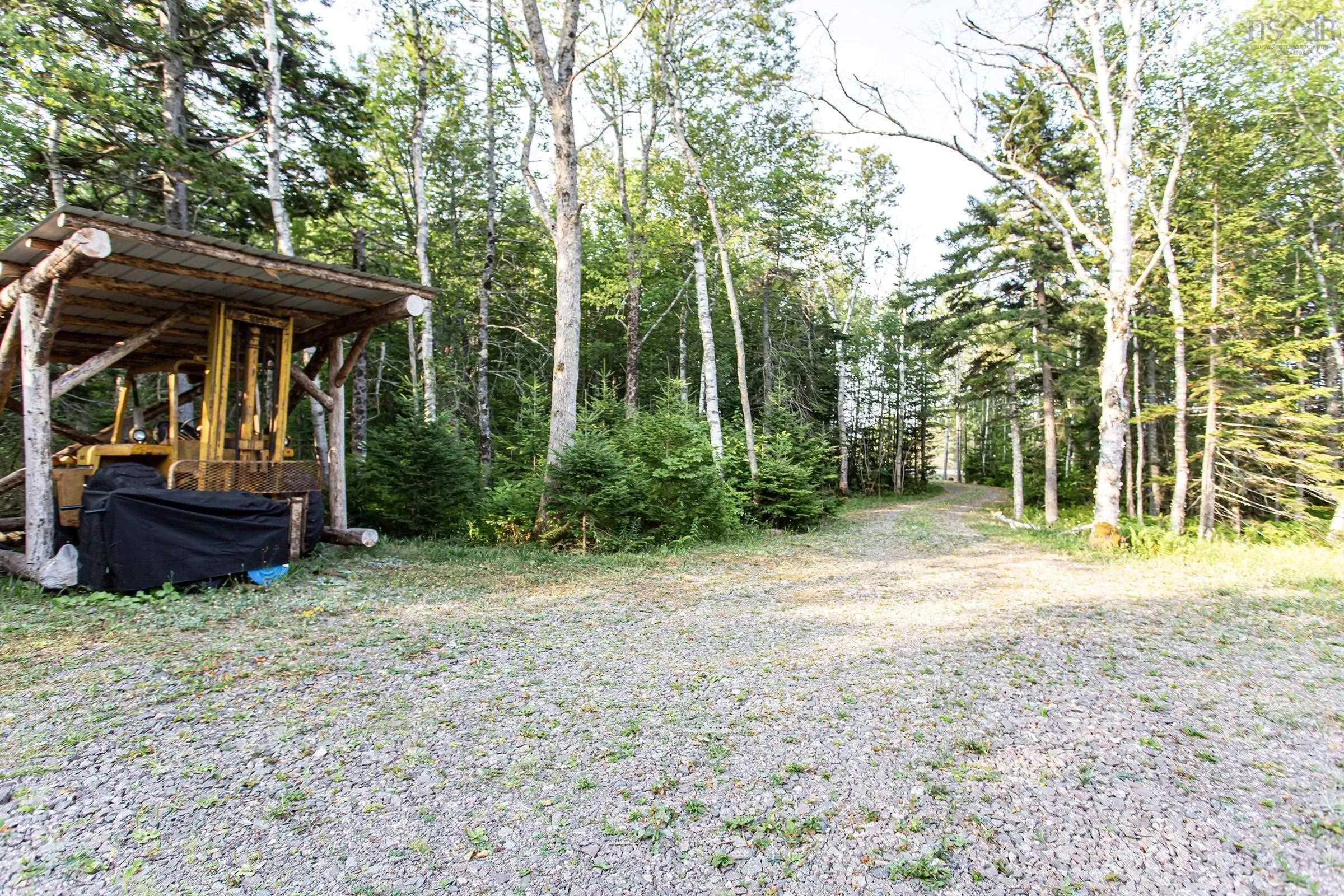 Lot Ben Phinney Road, Forest Glade, NS B0S 1N0, ,Land,For Sale,Ben Phinney,202520425