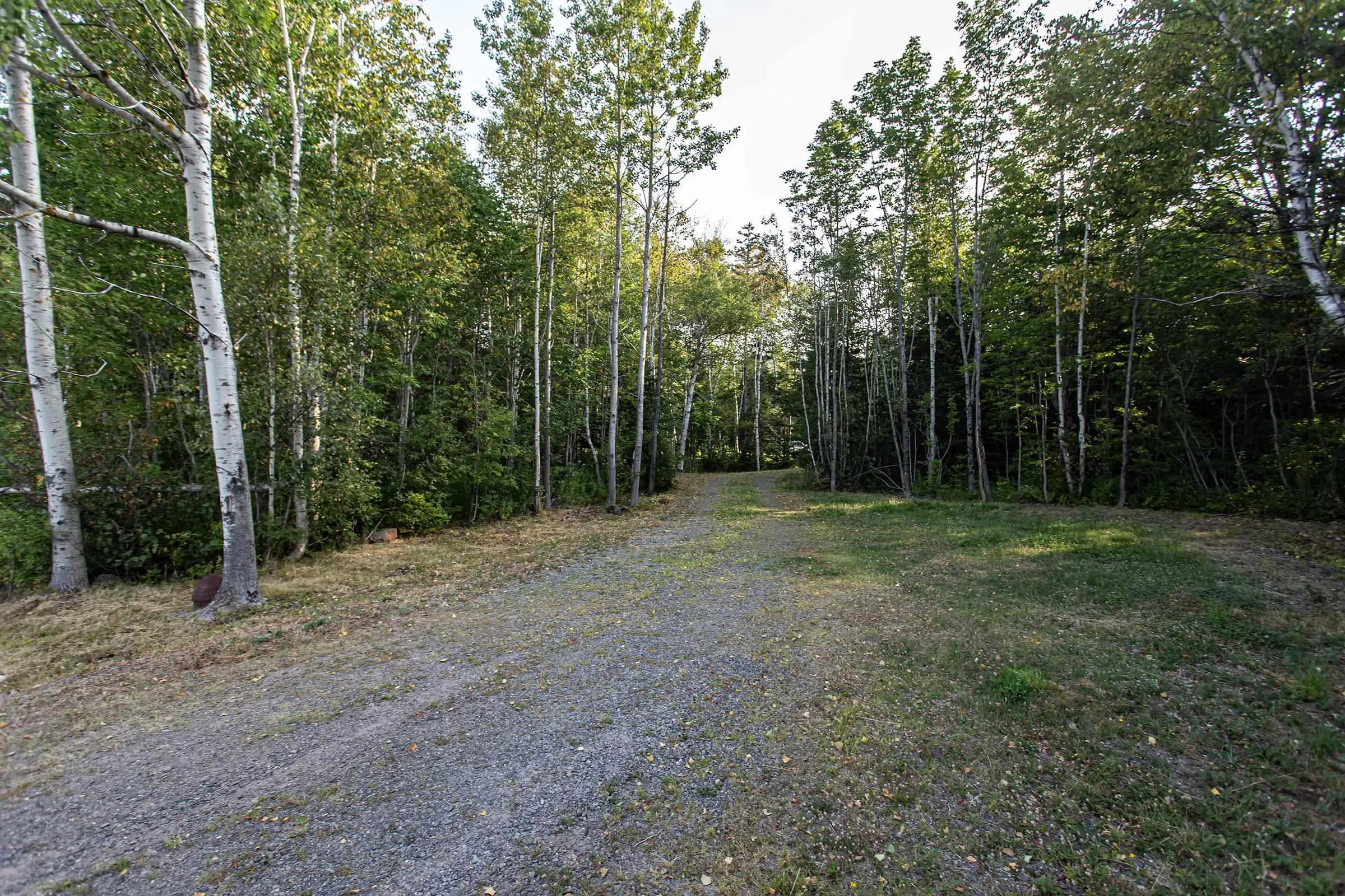Lot Ben Phinney Road, Forest Glade, NS B0S 1N0, ,Land,For Sale,Ben Phinney,202520425